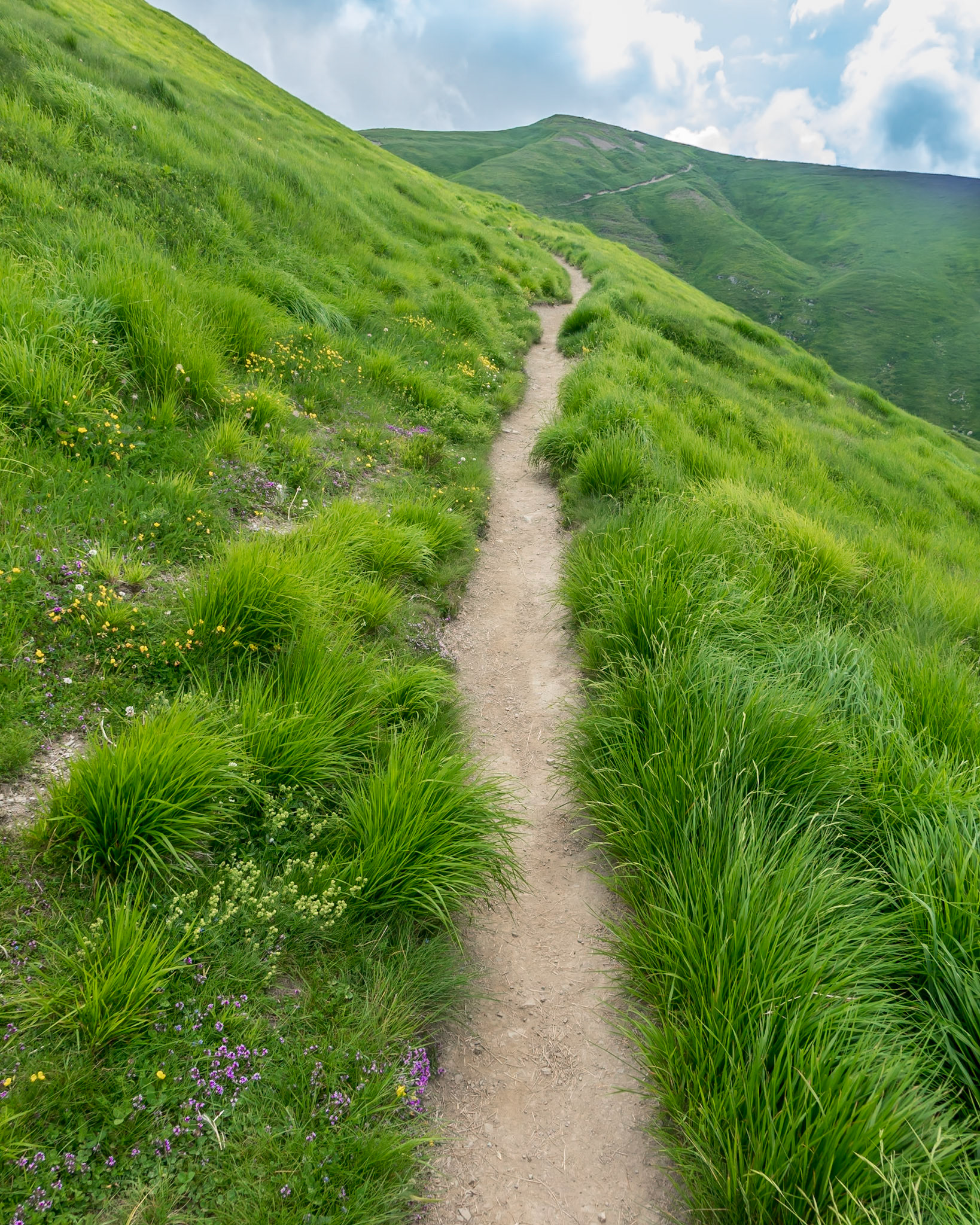 Trail in the high Apennine mountains above Cutigliano