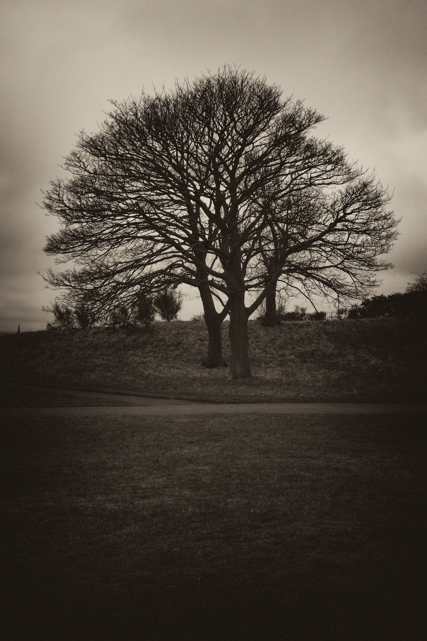 Calton Hill on a overcast and dreary day.
