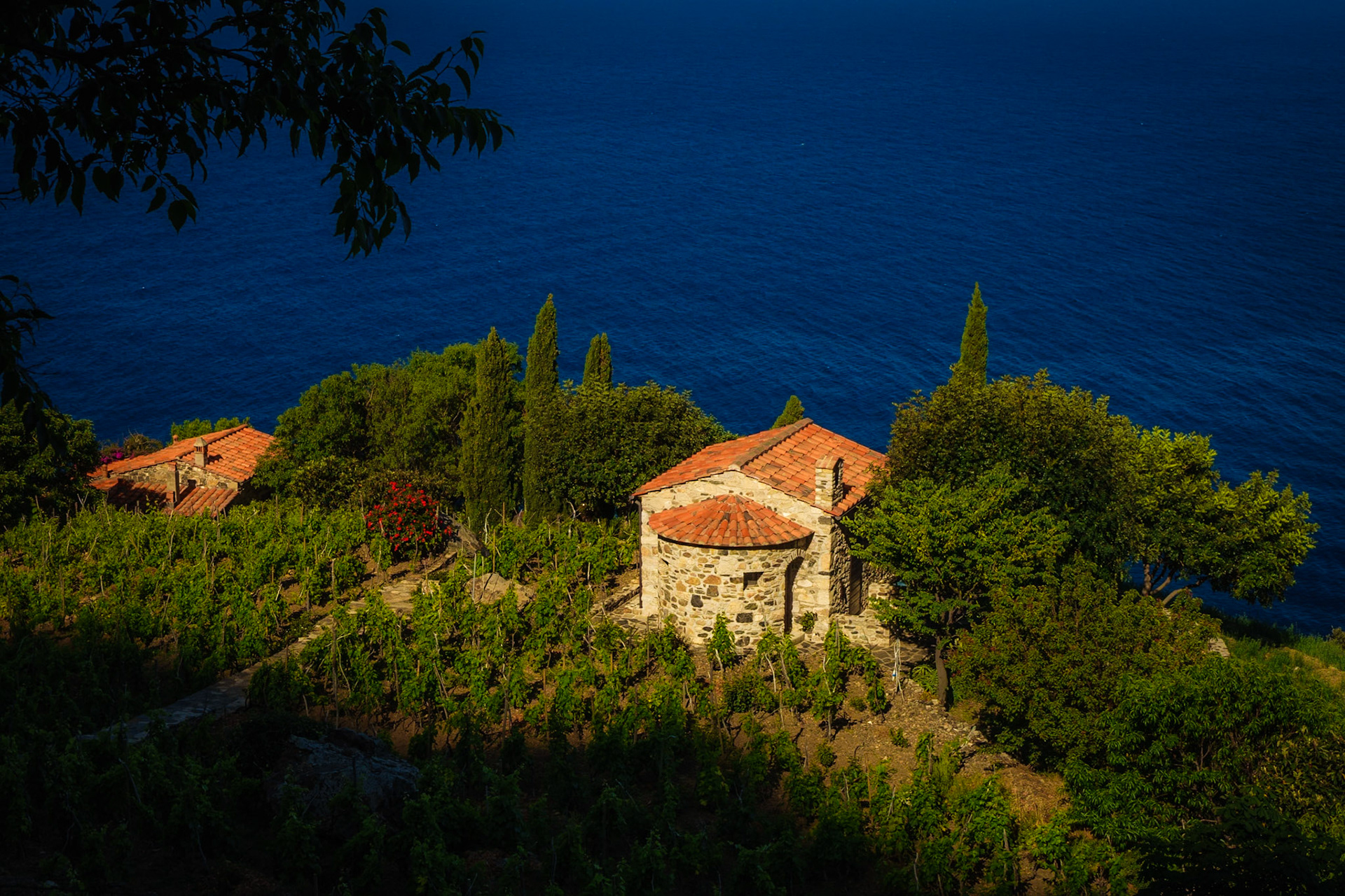 West Coast of Elba near Promonte