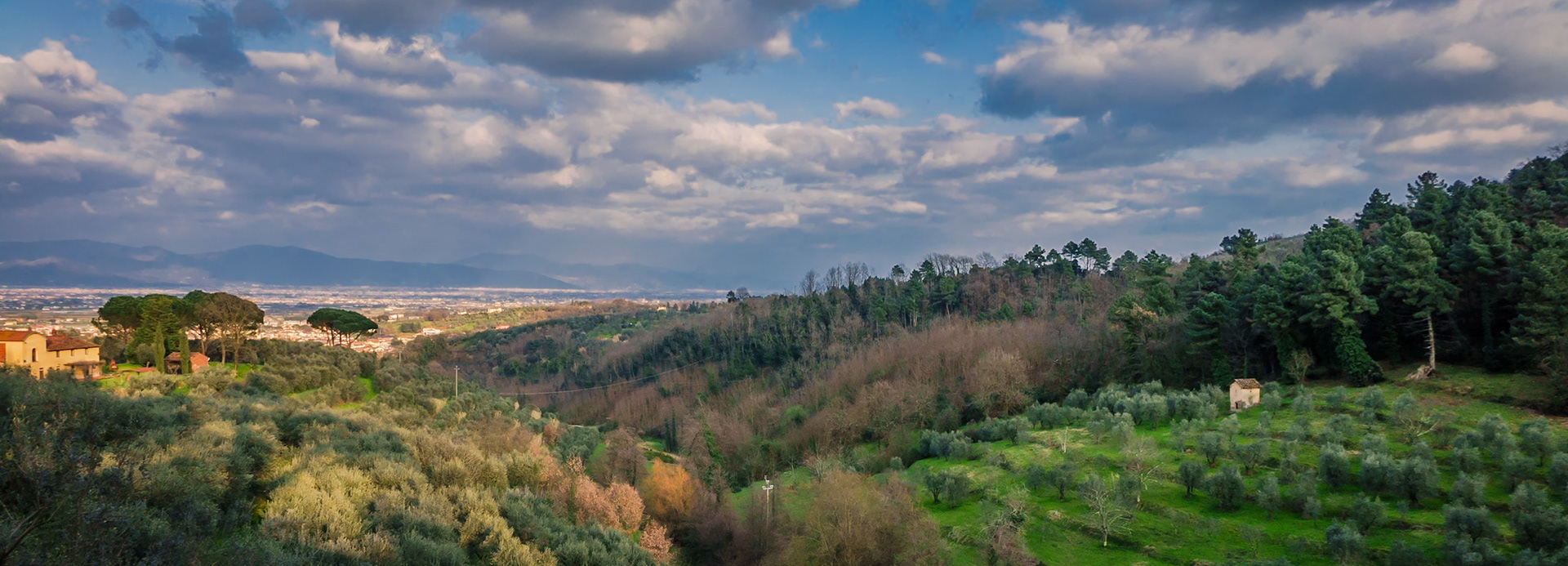 Villa Montalbano Panorama