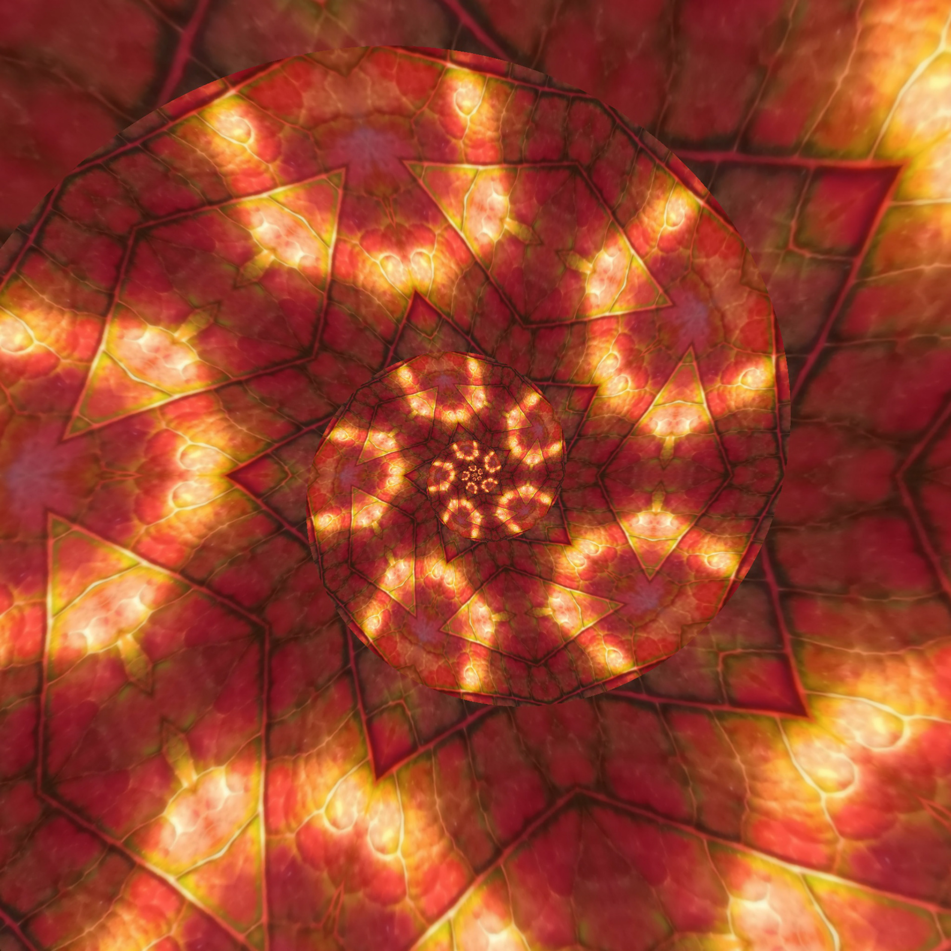 22 Feb 2023: Fibonacci Spiral