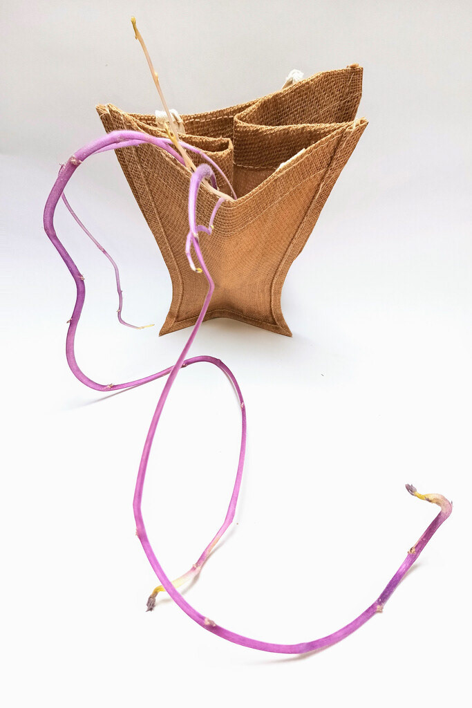 23 Jan 2023: Putting Out Feelers