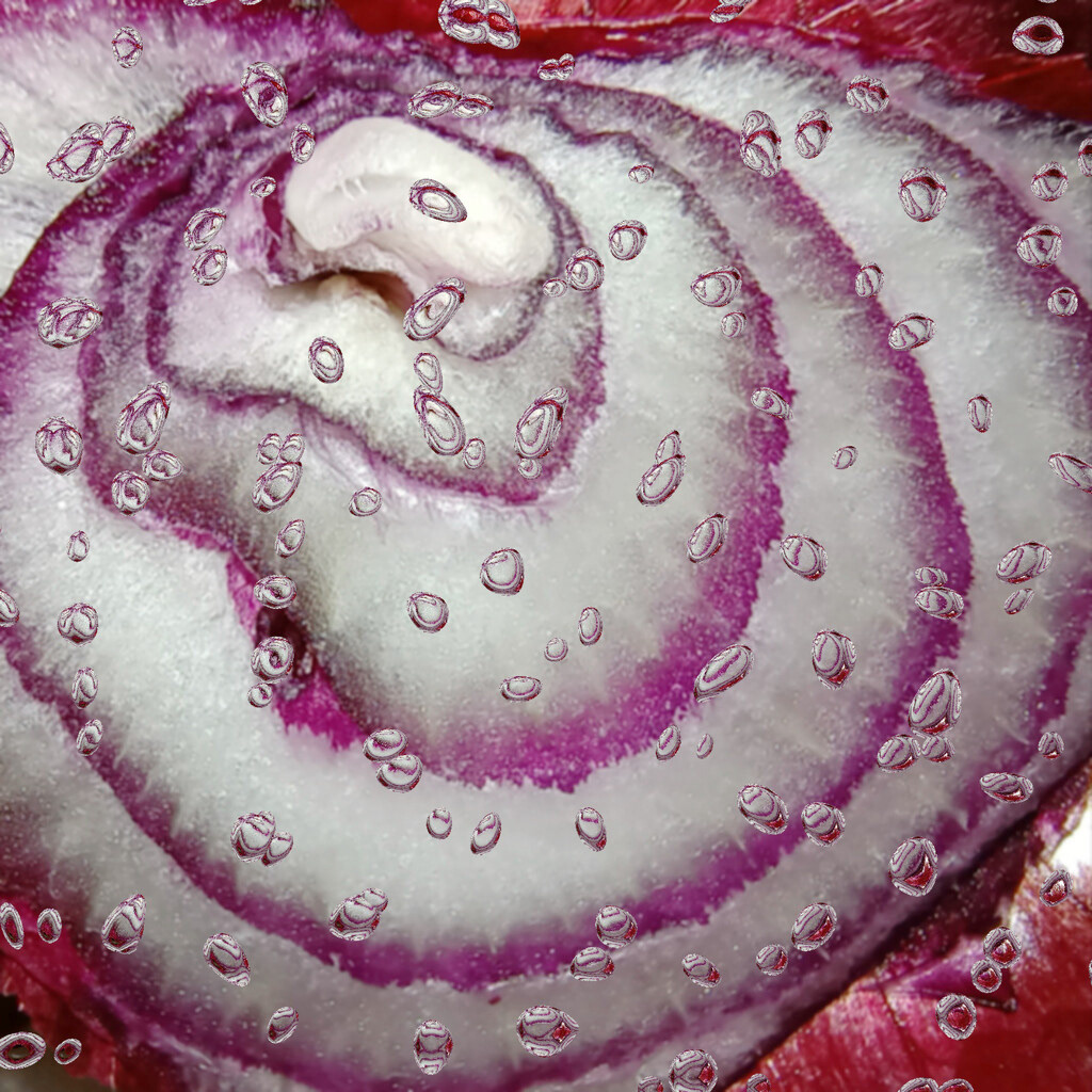 10 Feb 2023: Onion Tears