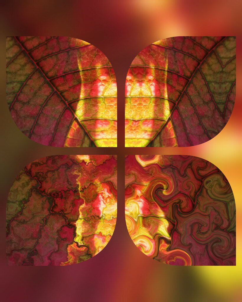 22 Feb 2023: Variations on a Theme