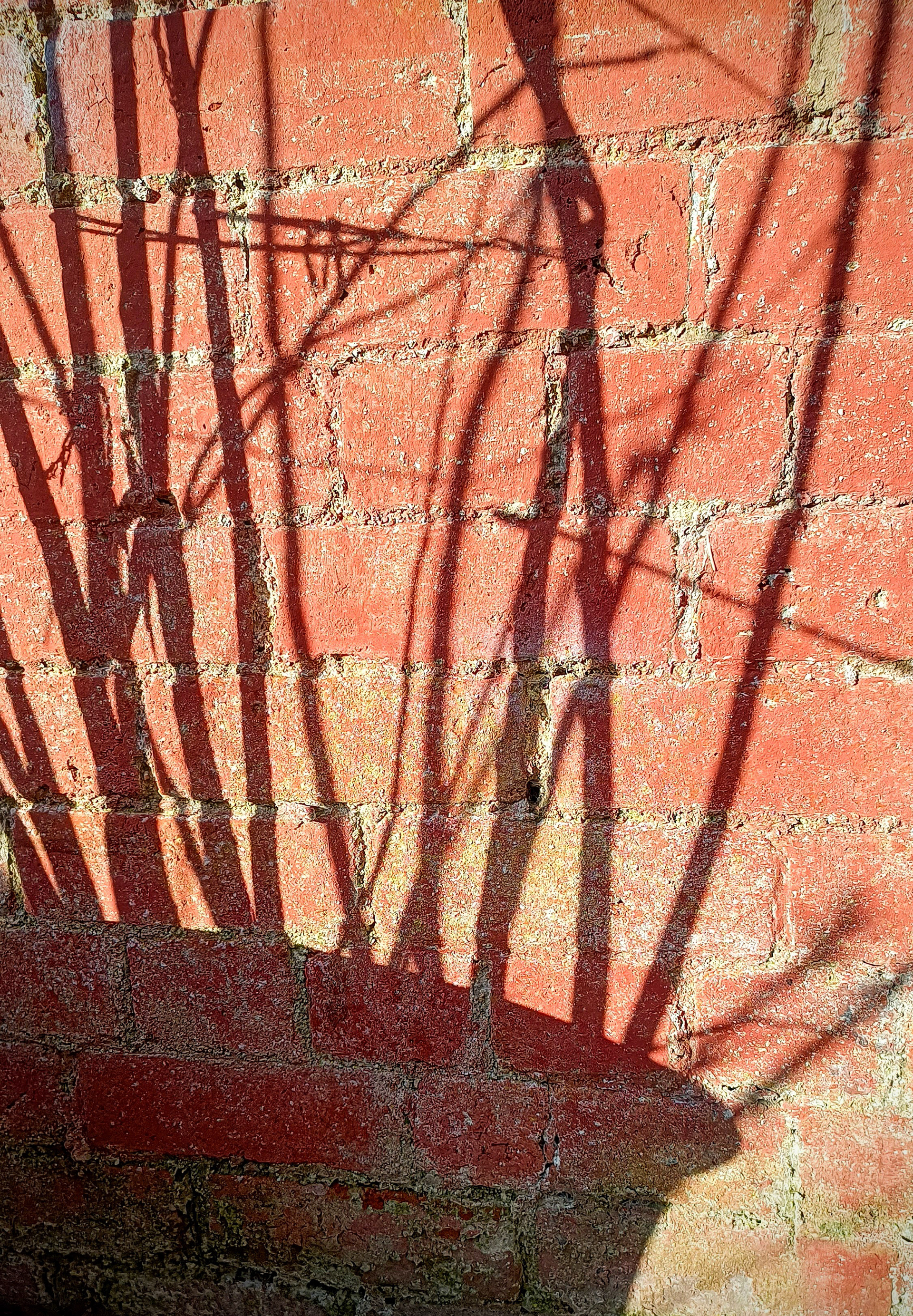 02 Jan 2023: Sticks 'n' Bricks