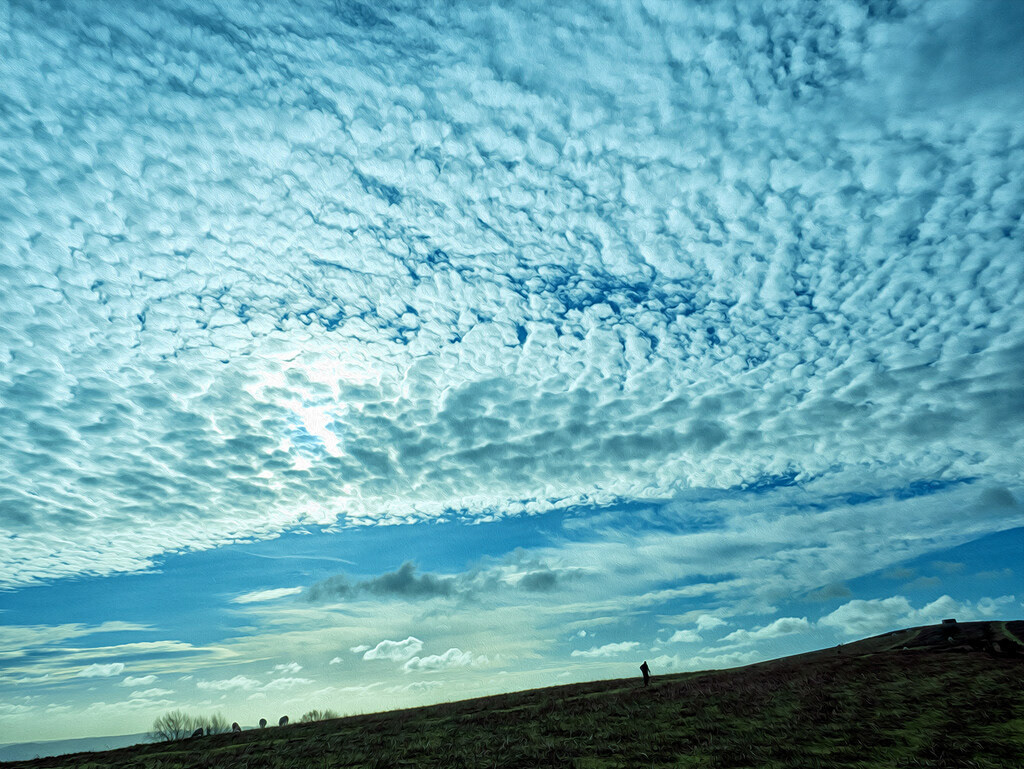 30 Jan 2023: On Garway Hill