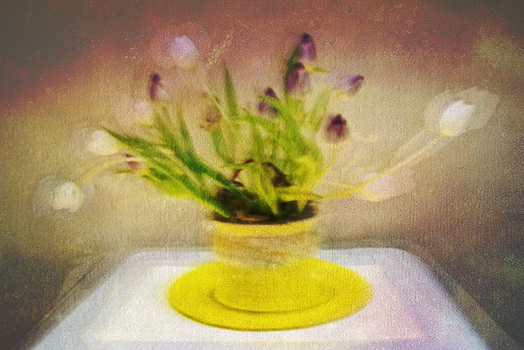 27 Feb 2023: Tulip Fresco (Tulips doing what tulips do)