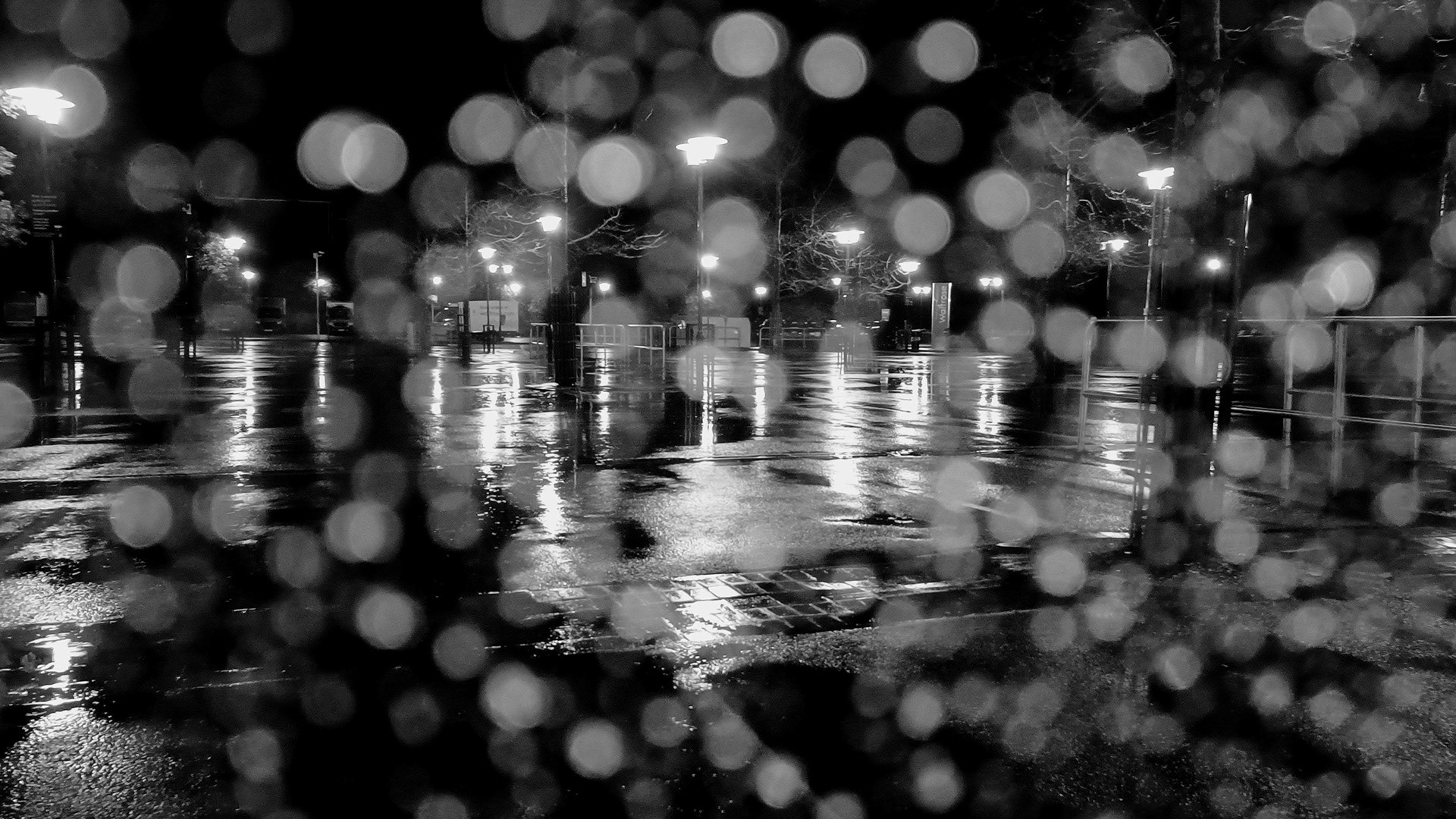 11 Jan 2023: Night Fall