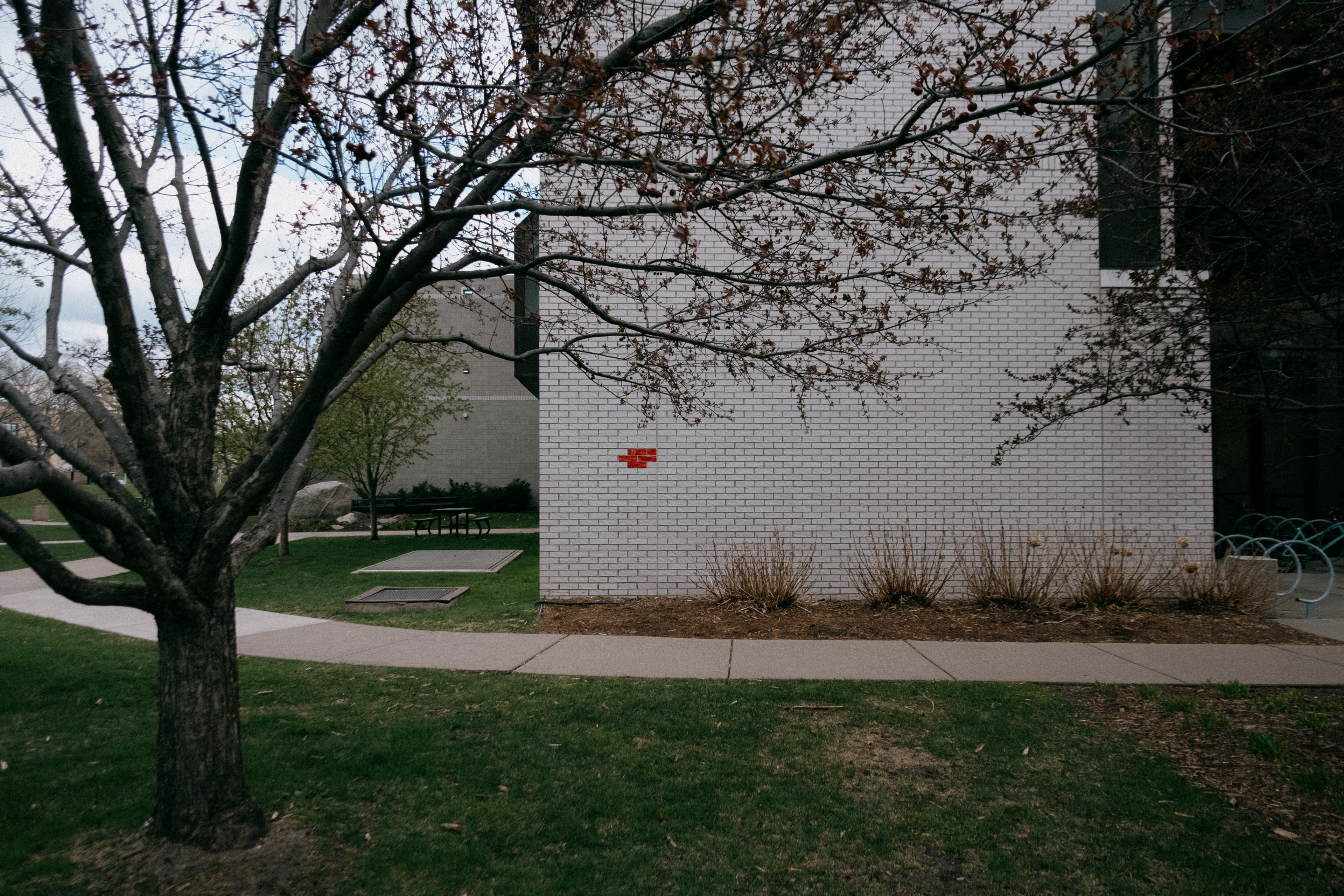 Fruit roll up iteration NO.1, Performance (Fruit Roll-Up, knife, water), 2024