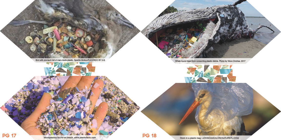 Plastic Waste is polluting our environment as well as our marine and wildlife