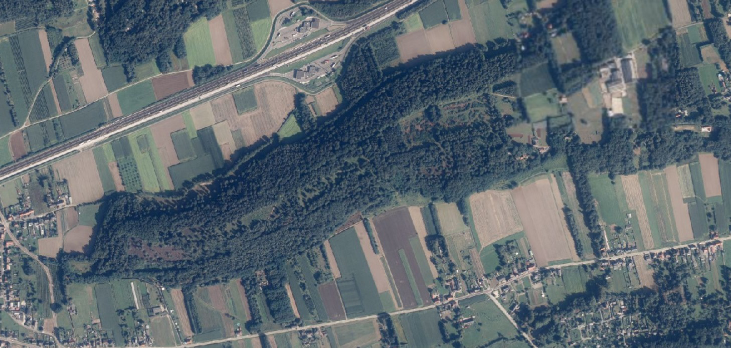 Een luchtfoto van de Beninksberg in zomer 2021 (copyright Geopunt Vlaanderen)
