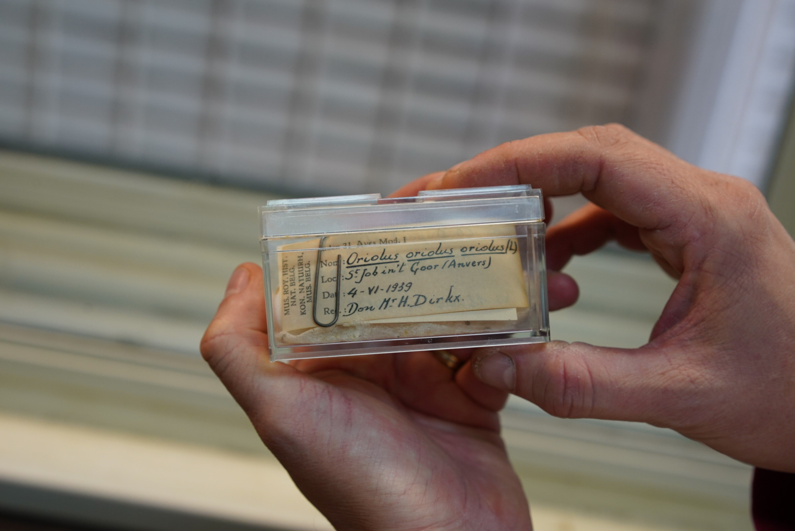Een vondst van meer dan 80 jaar geleden