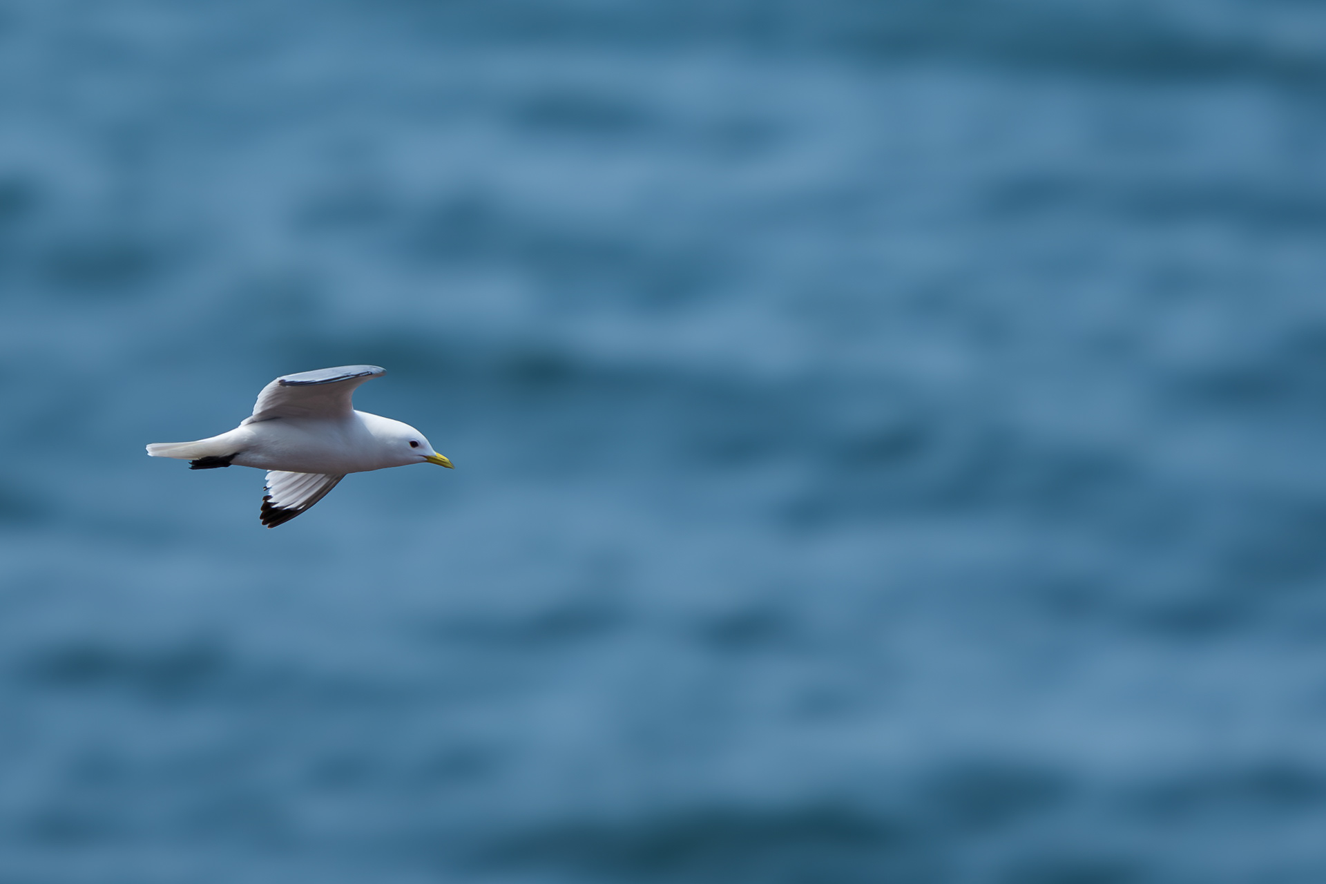 Fly-by