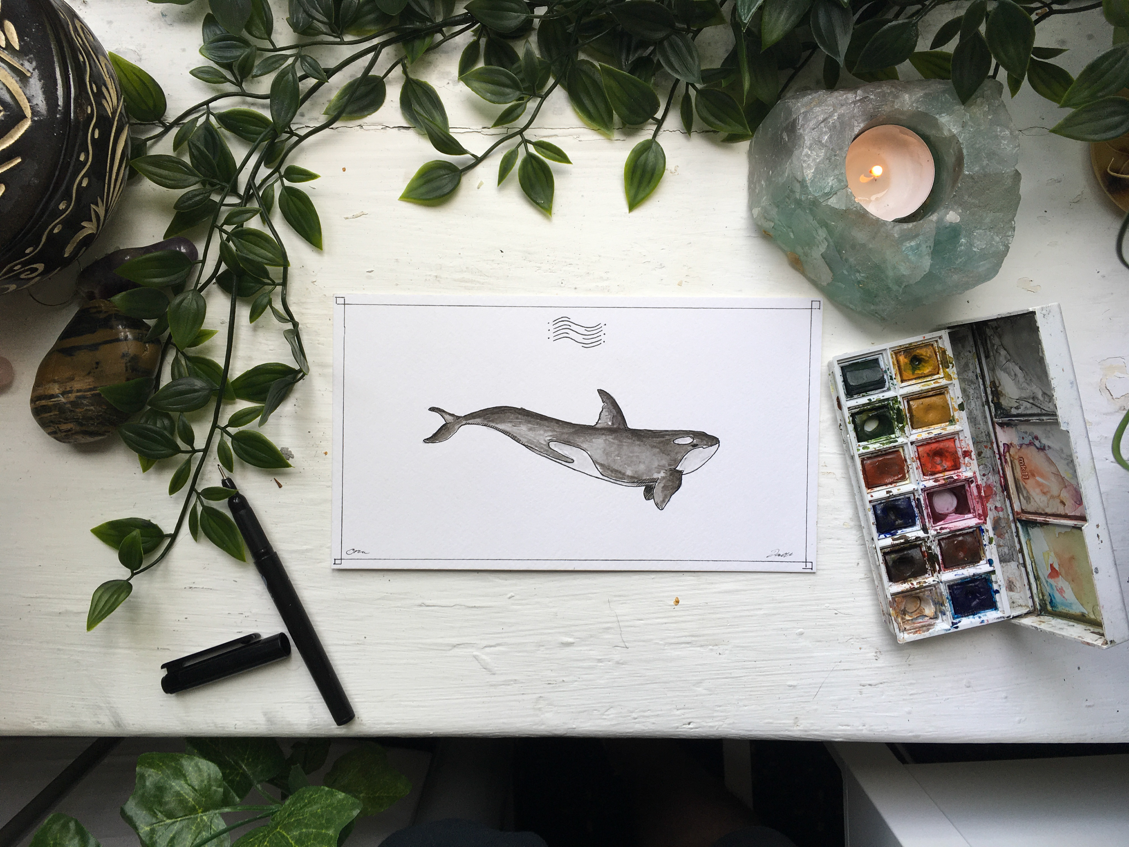 Orca