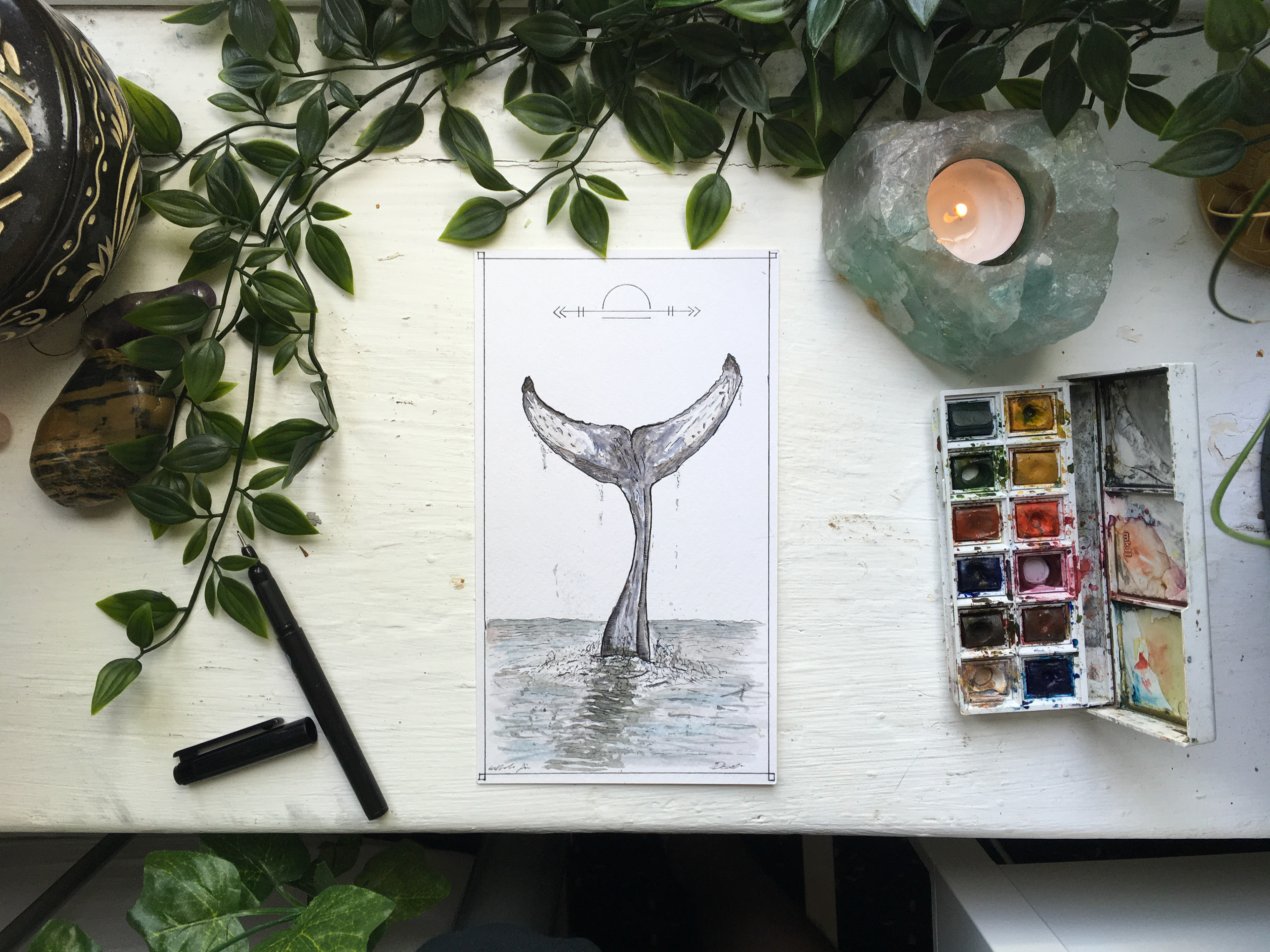 Humpback Whale Tail