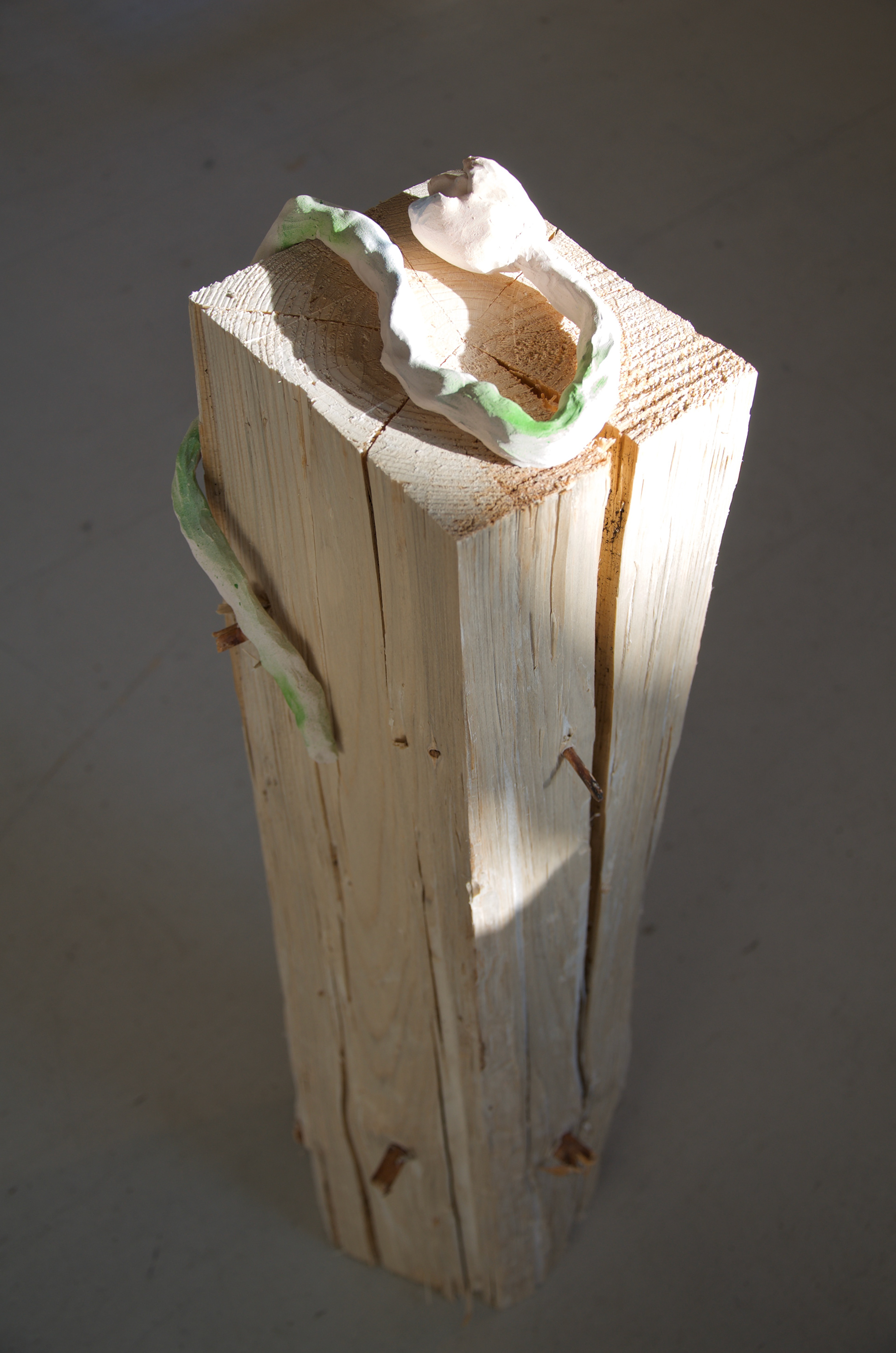 Anna Sollevi installation