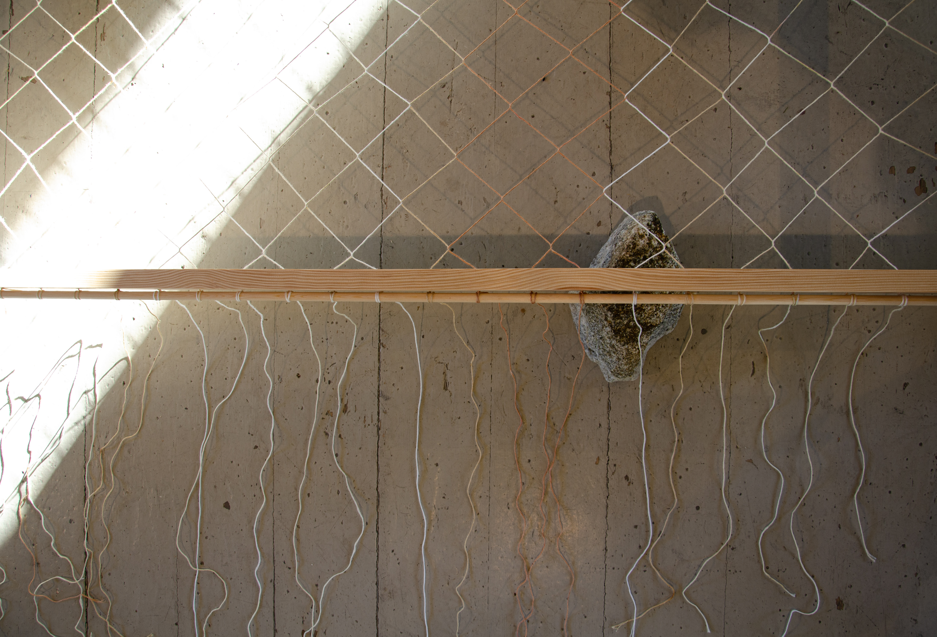 Anna Sollevi installation