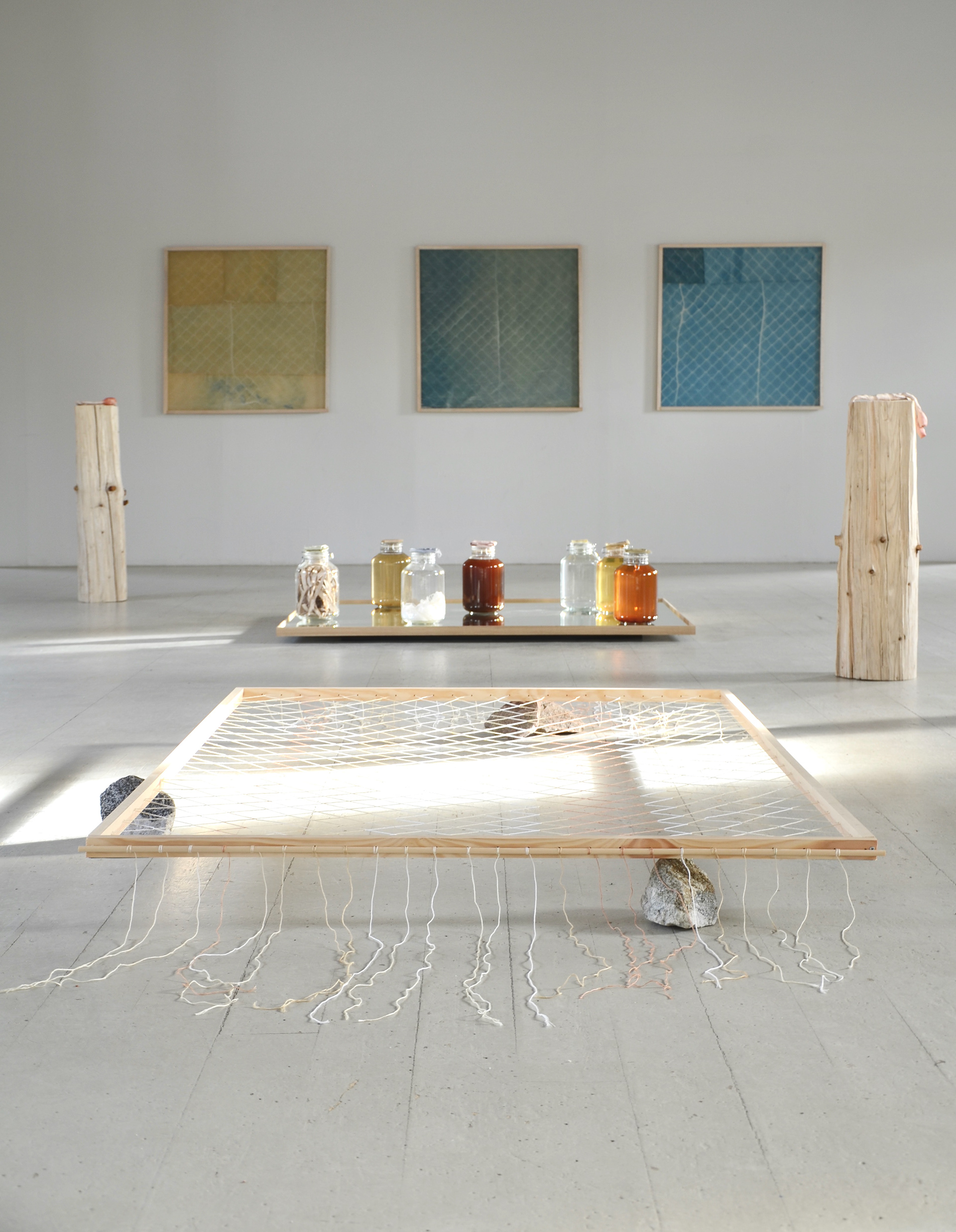 Anna Sollevi installation