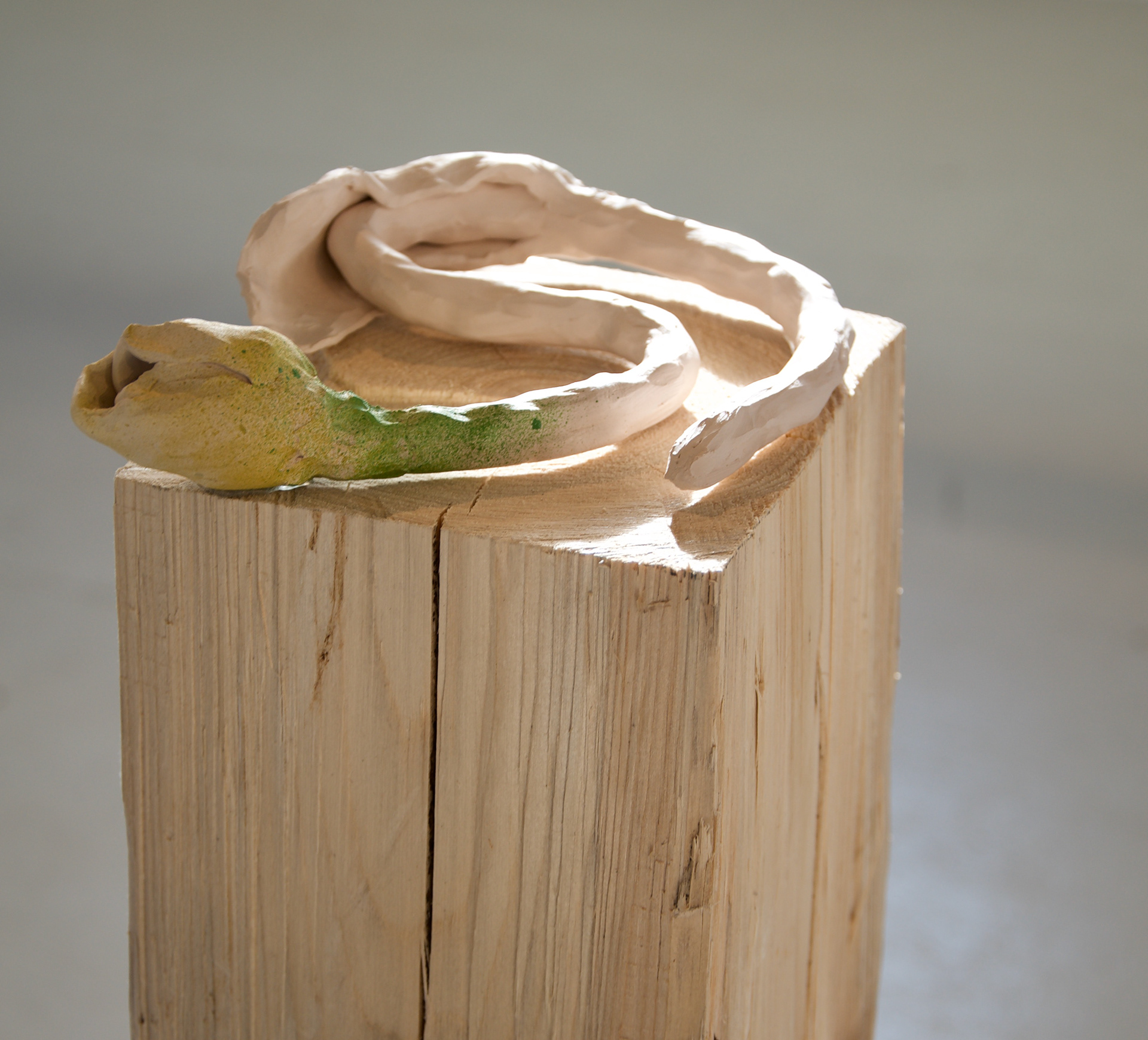 Anna Sollevi installation