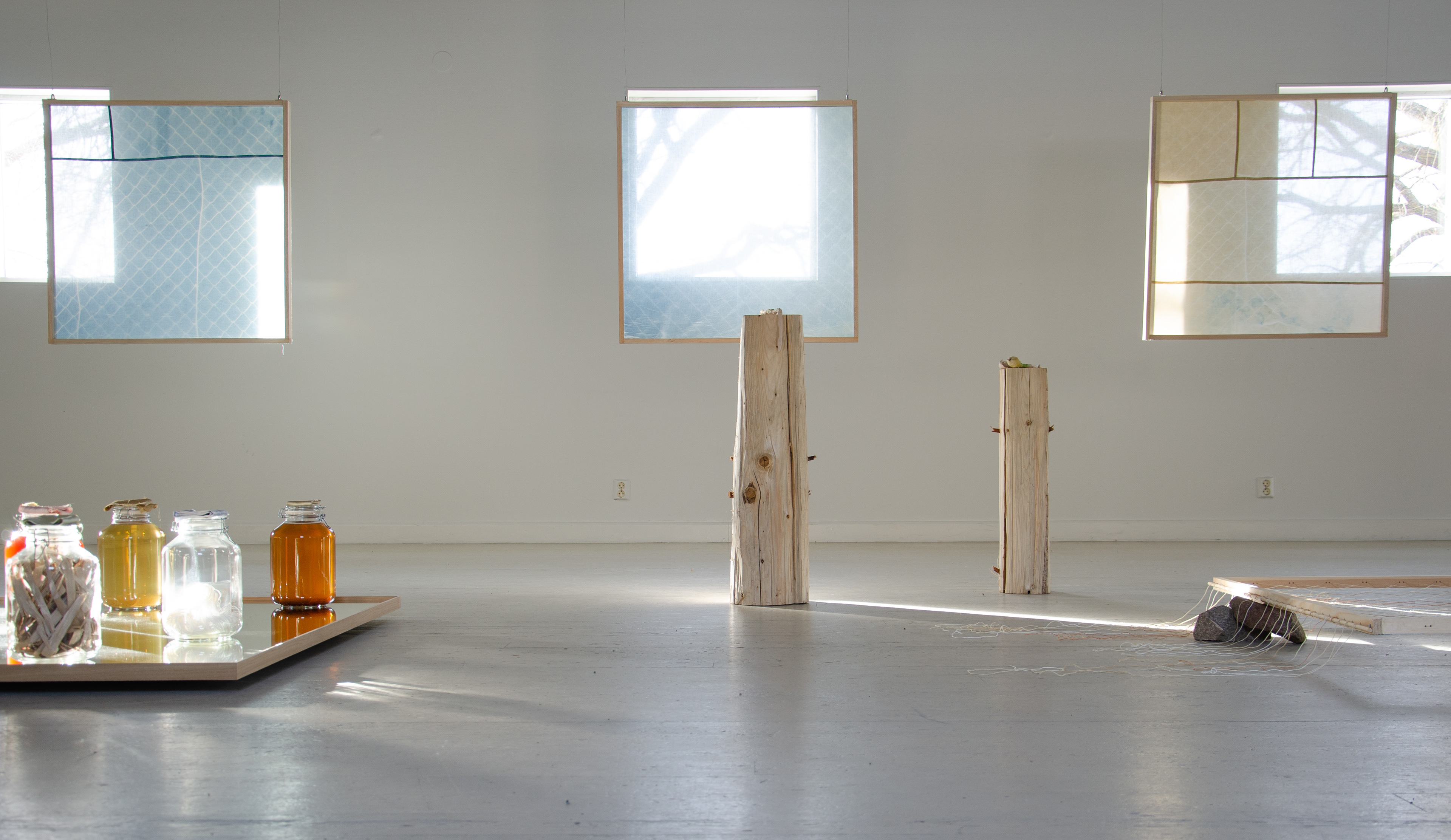 Anna Sollevi installation