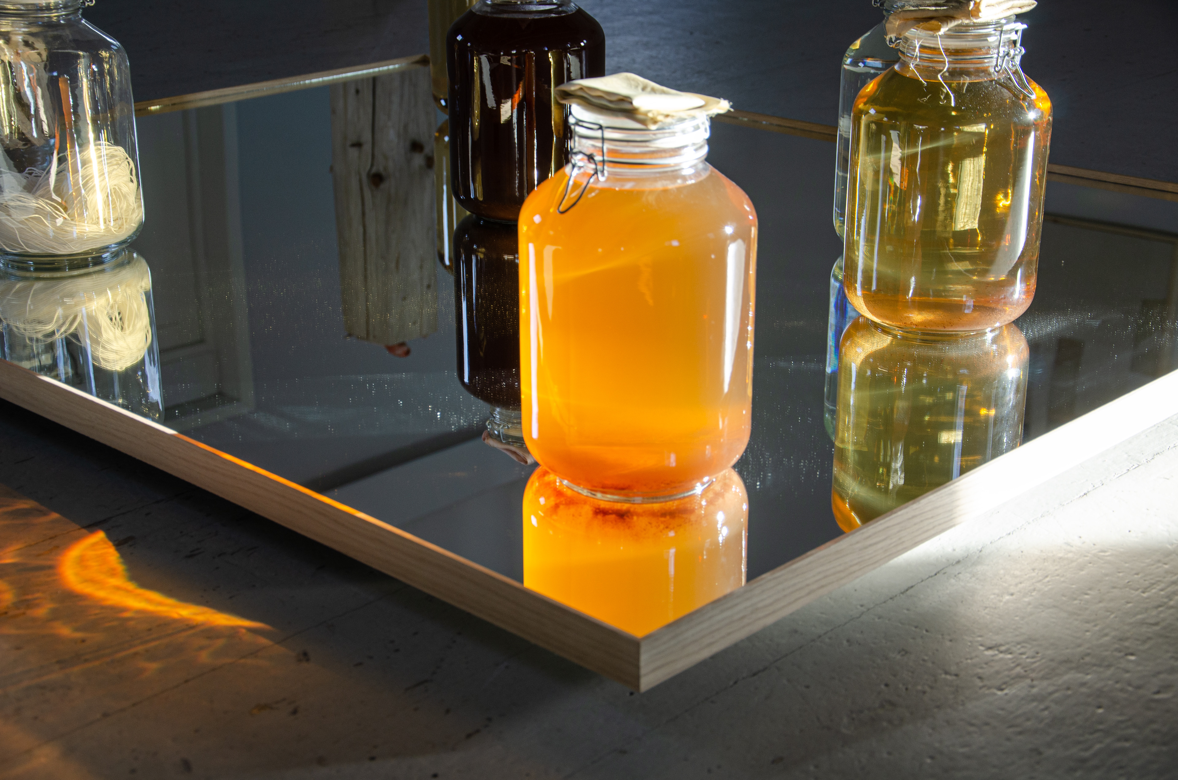 Anna Sollevi installation