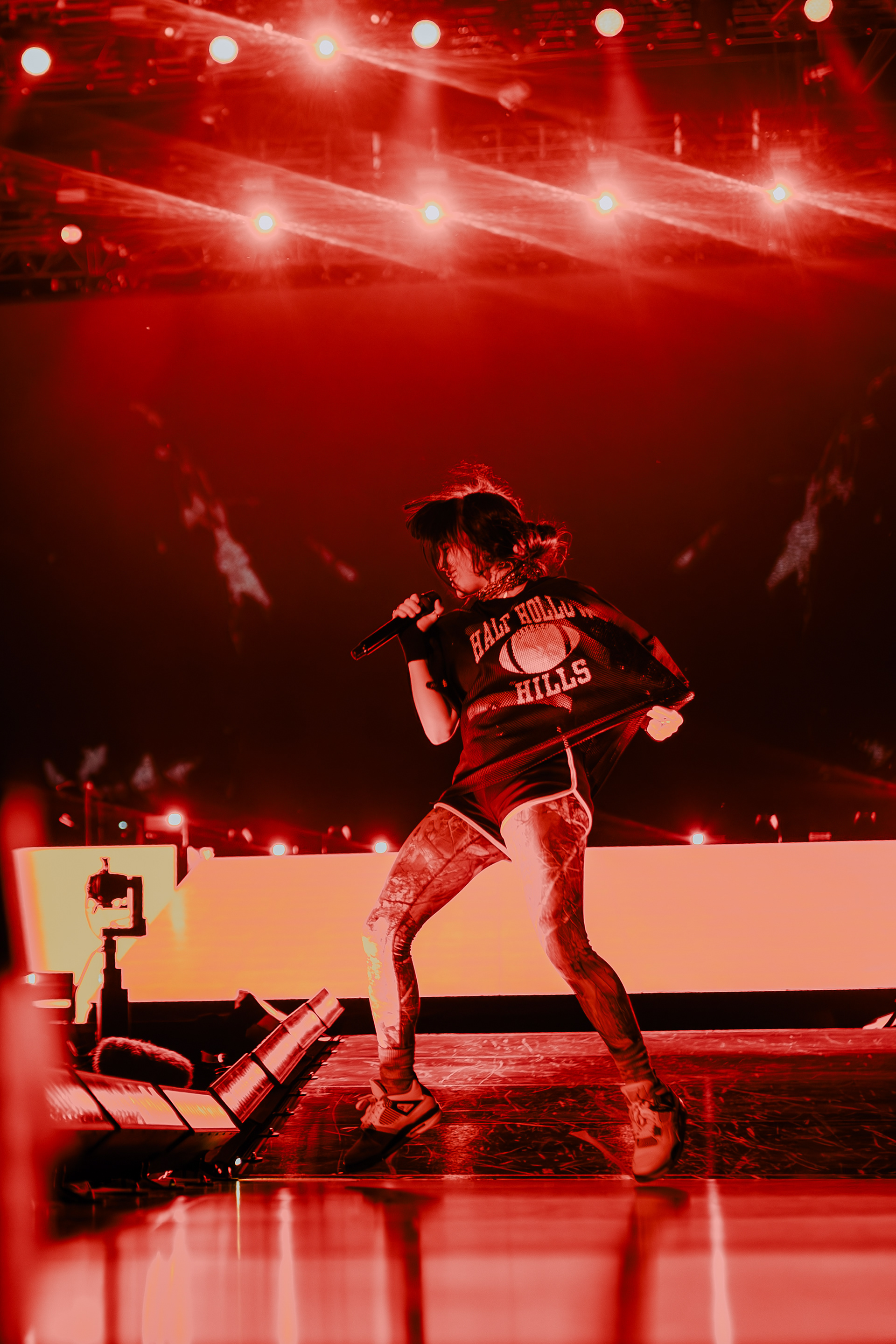 Billie Eilish - Rock en Seine