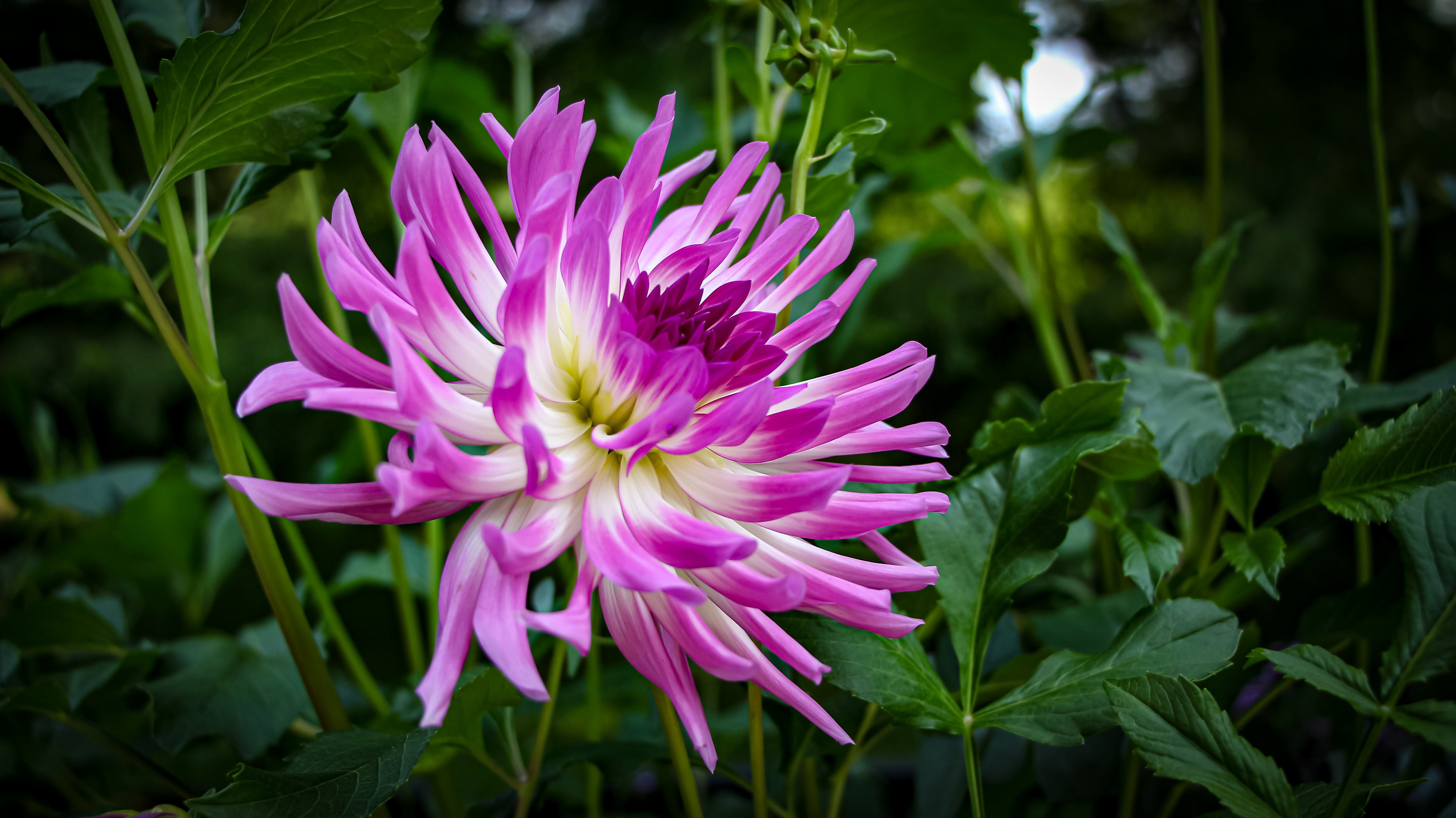 Stand Out and Own It