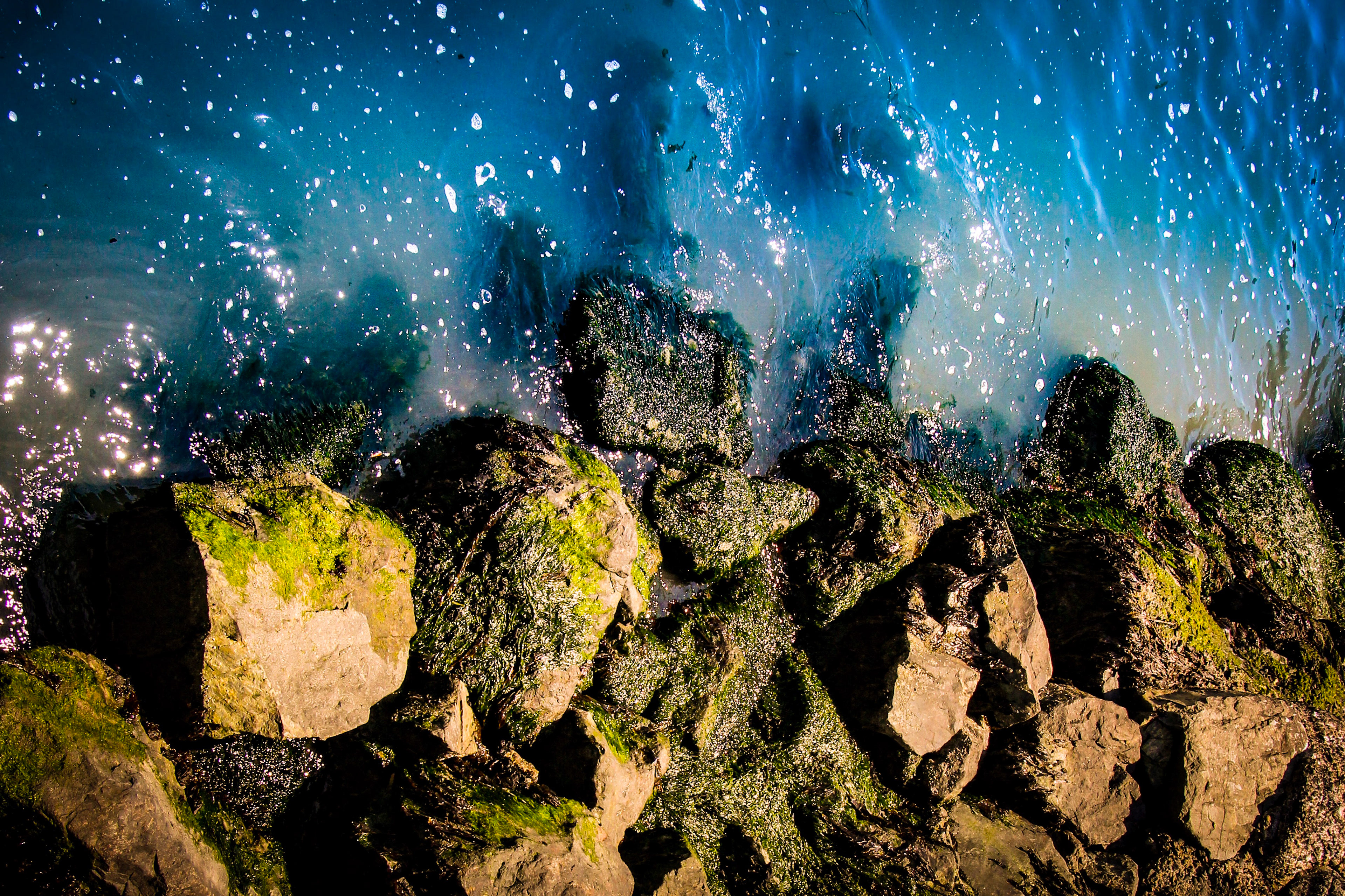 From the Ocean, to the Land