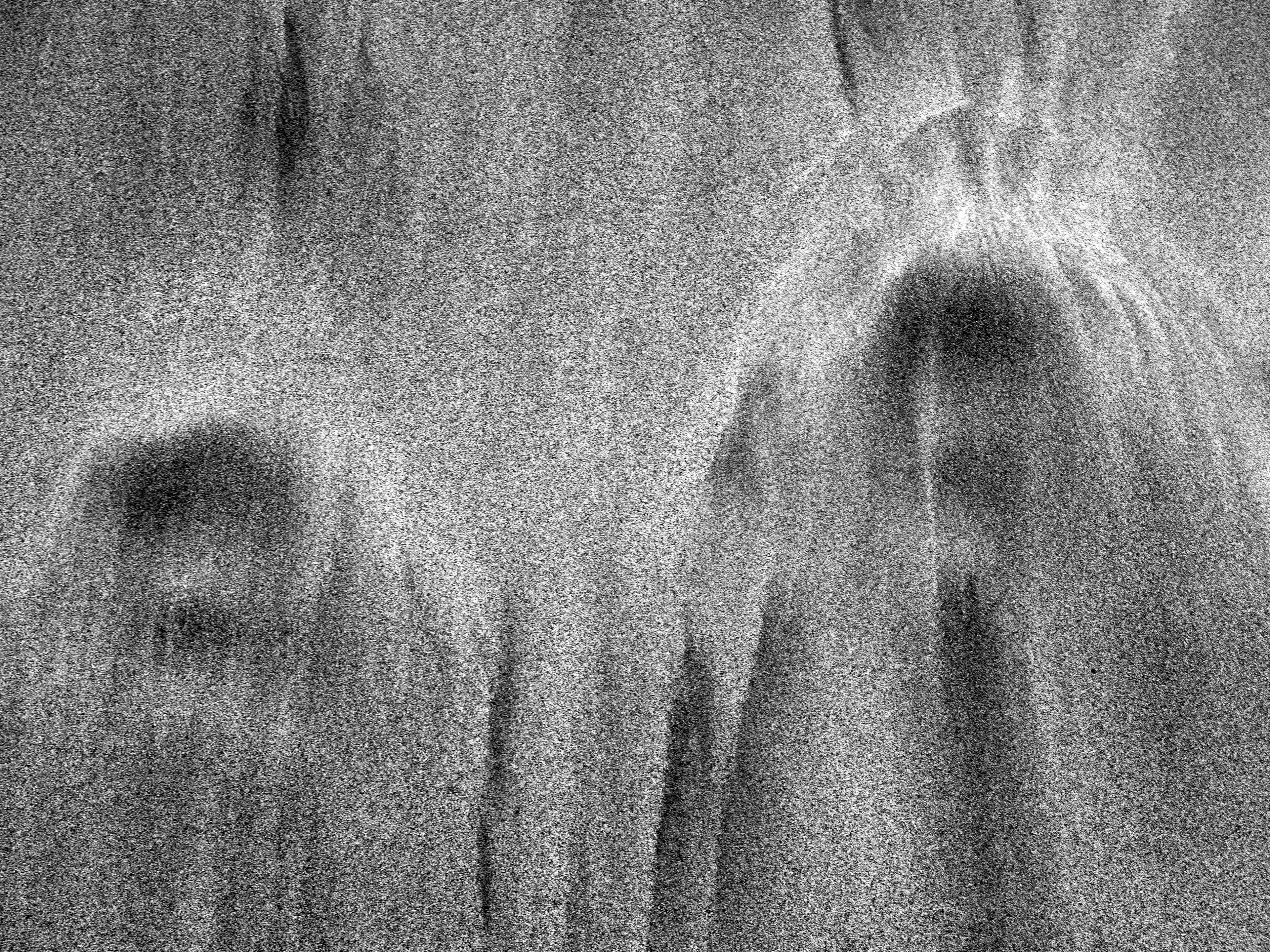 VEILED WOMEN