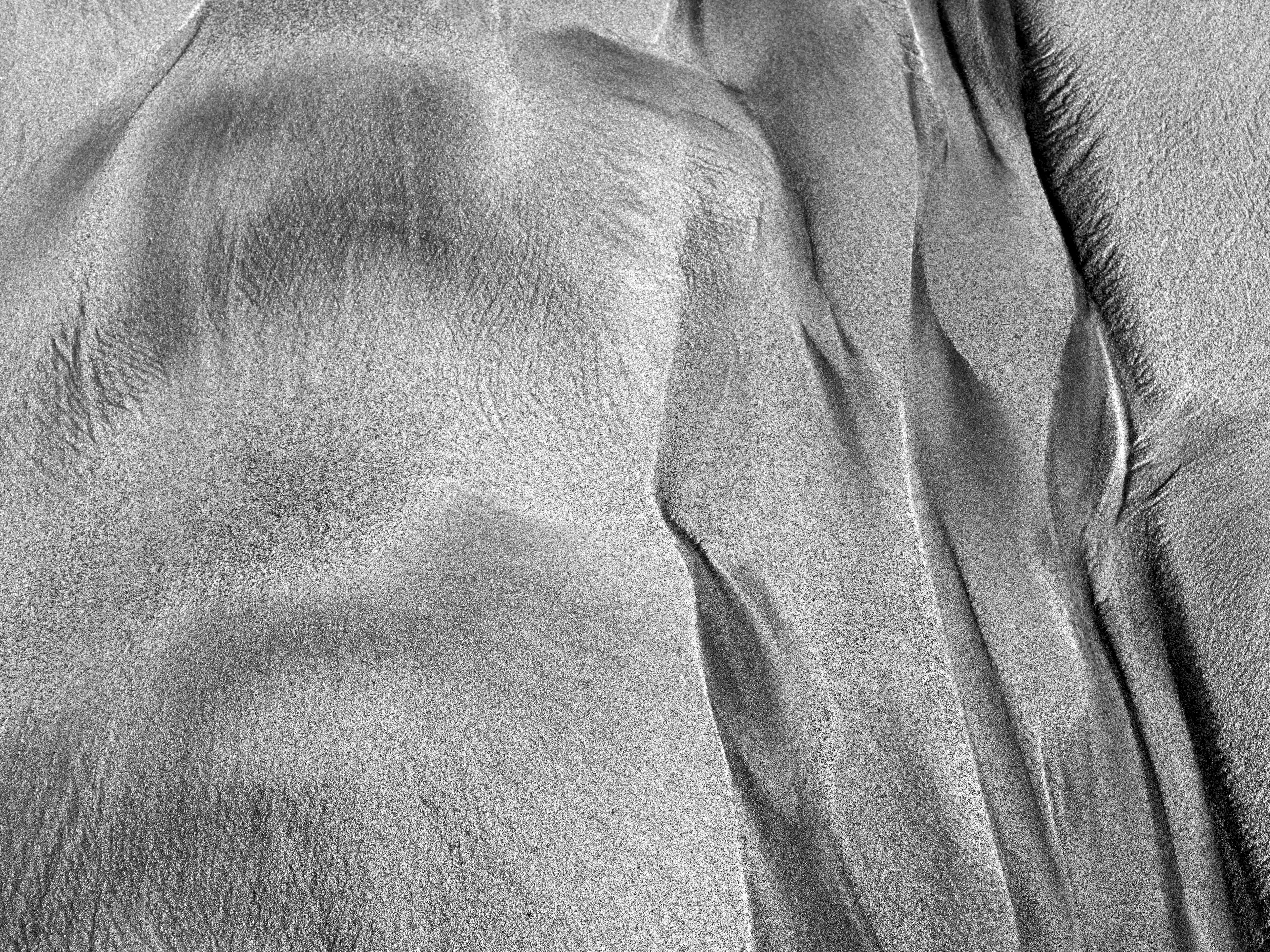 NAKED BODIES