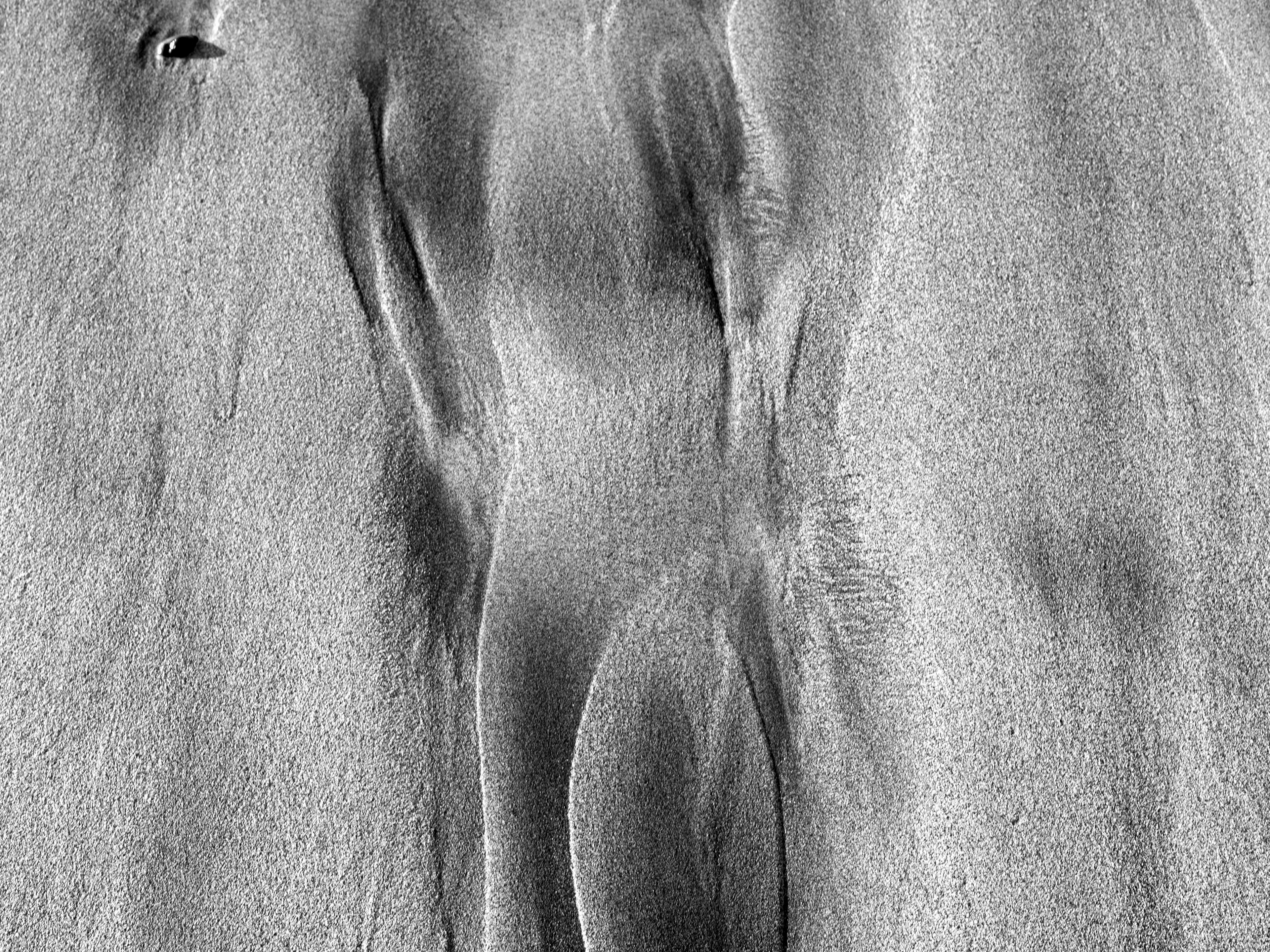 NUDE FEMALE BODY