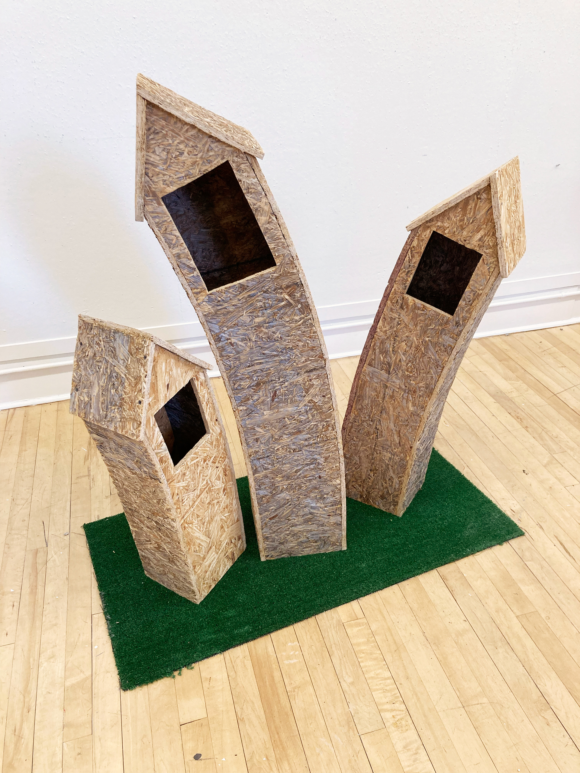 Dormer Sprouts, 2022