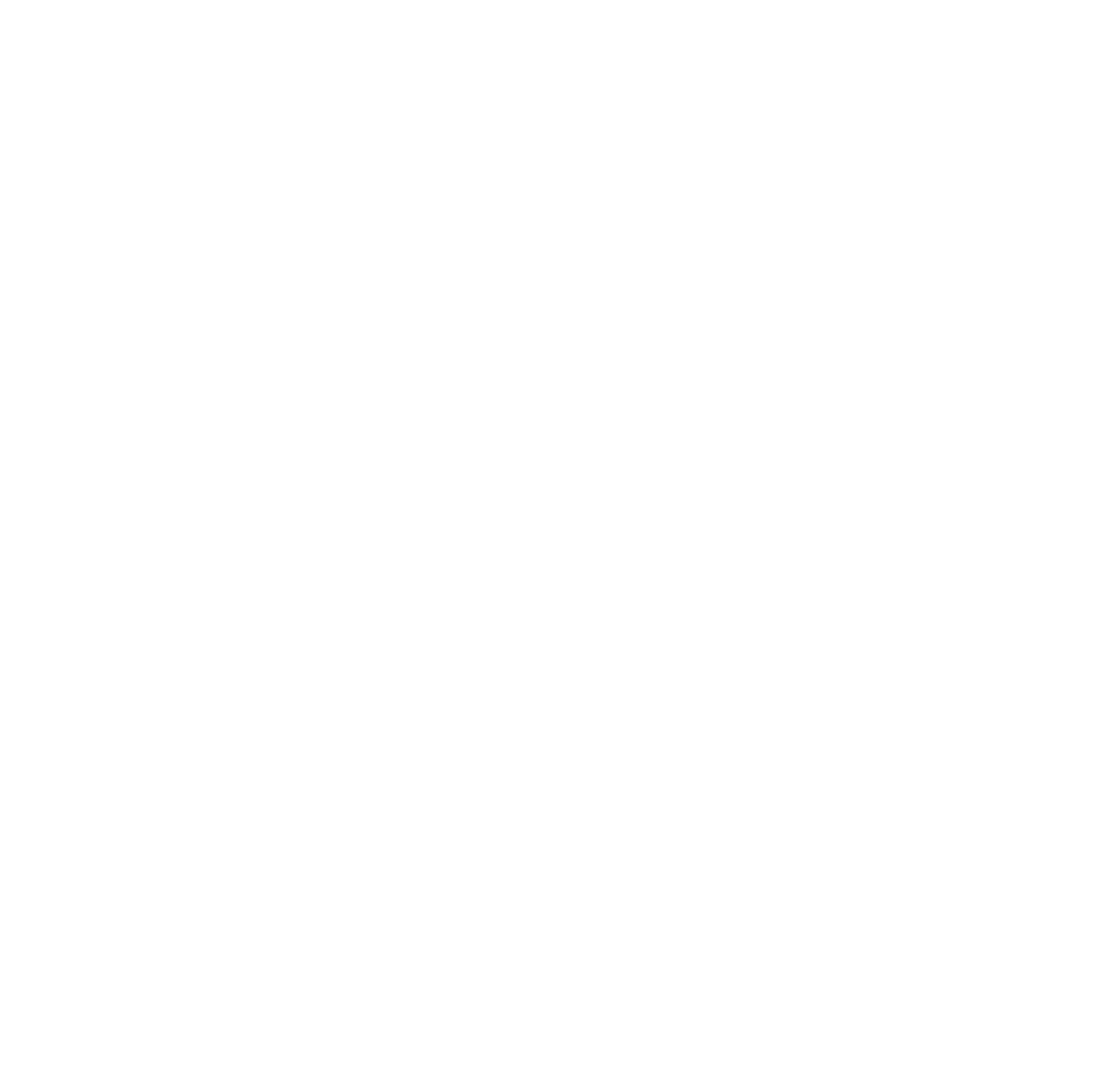 Ethan ANSEL