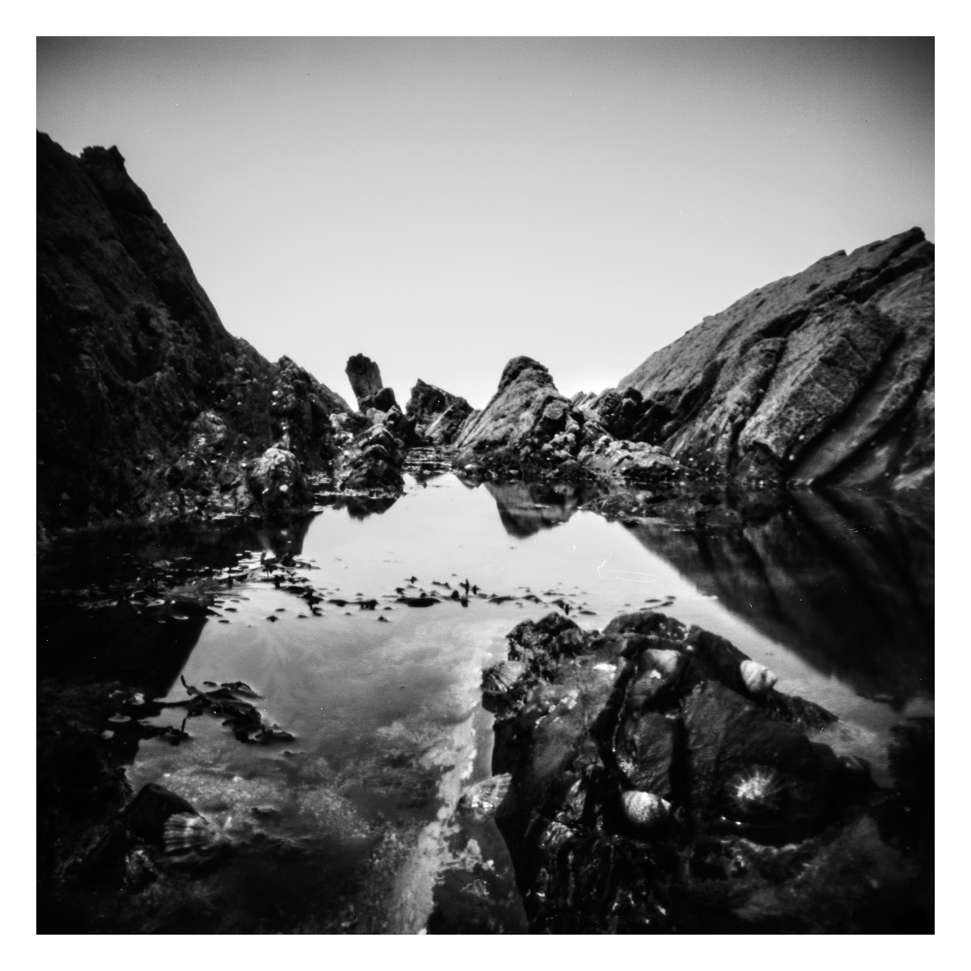 Bude Rockpool_Pinhole Photograph_© Harvey Mills