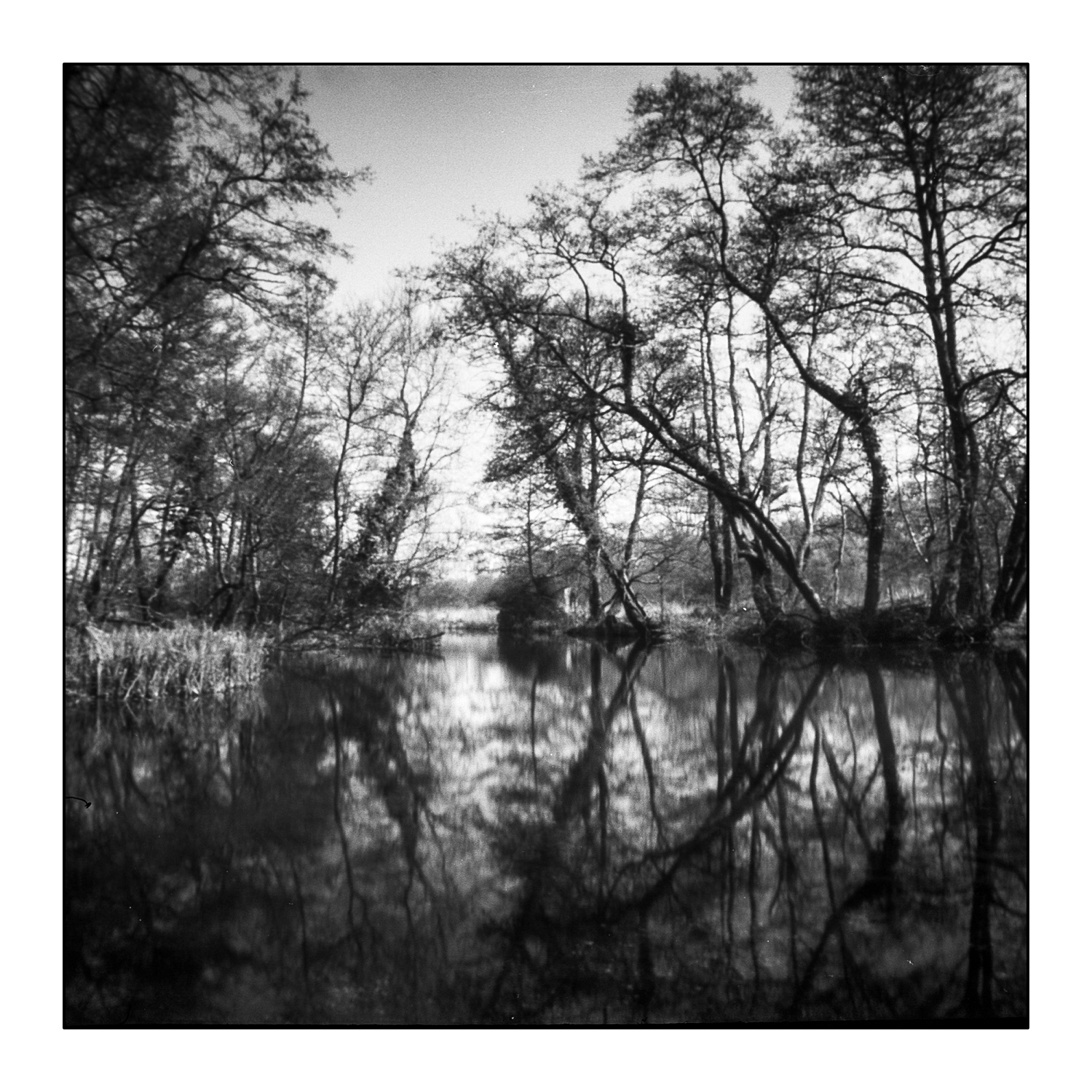 Winnall Moors_Pinhole Photograph_© Harvey Mills