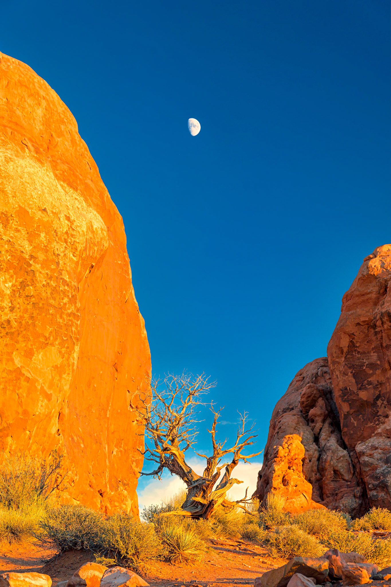 Moonrise at Arches N.P.
