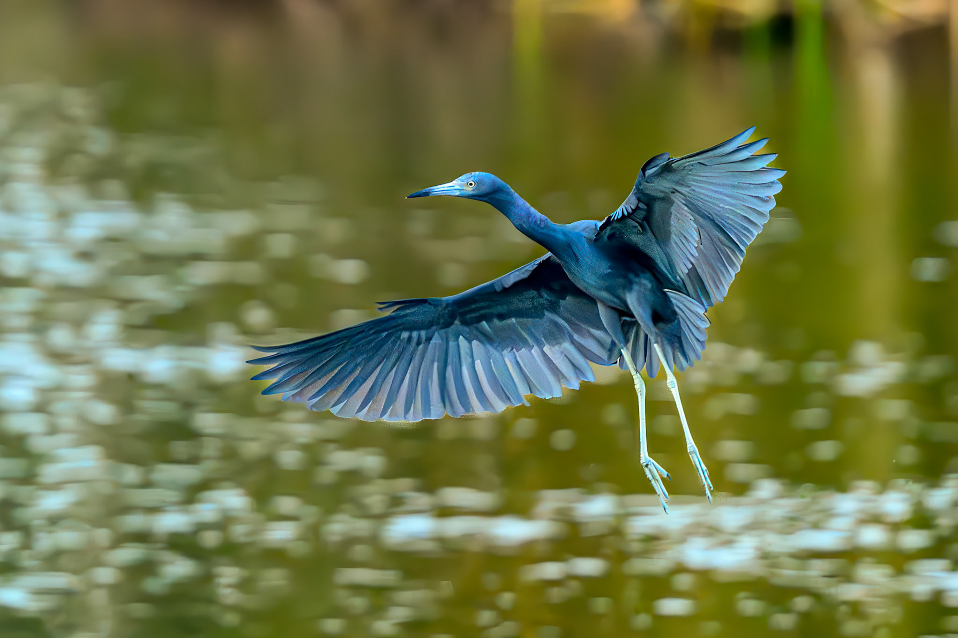 Liftoff