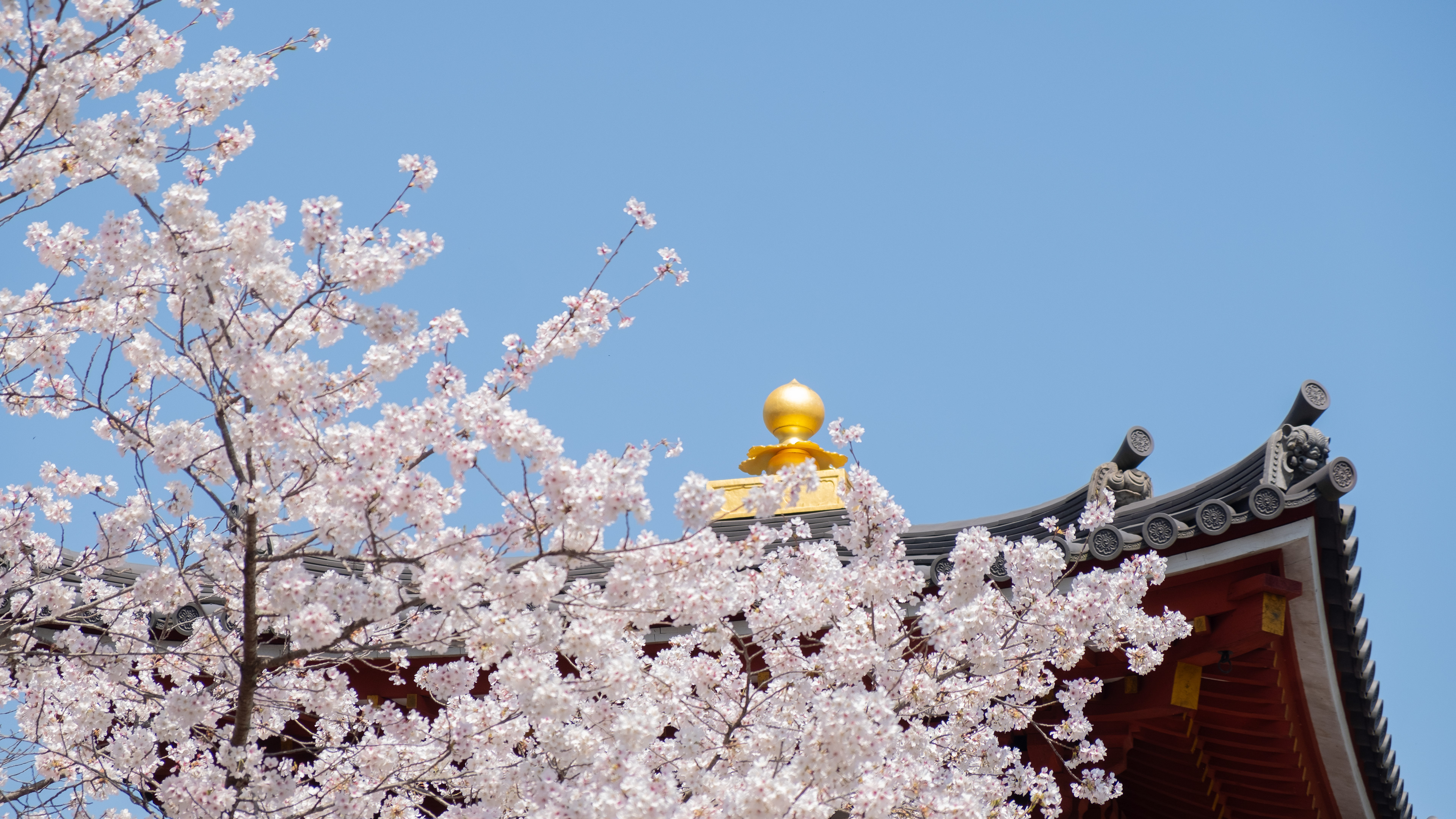 Fushimi, Kyoto, Japan 2023