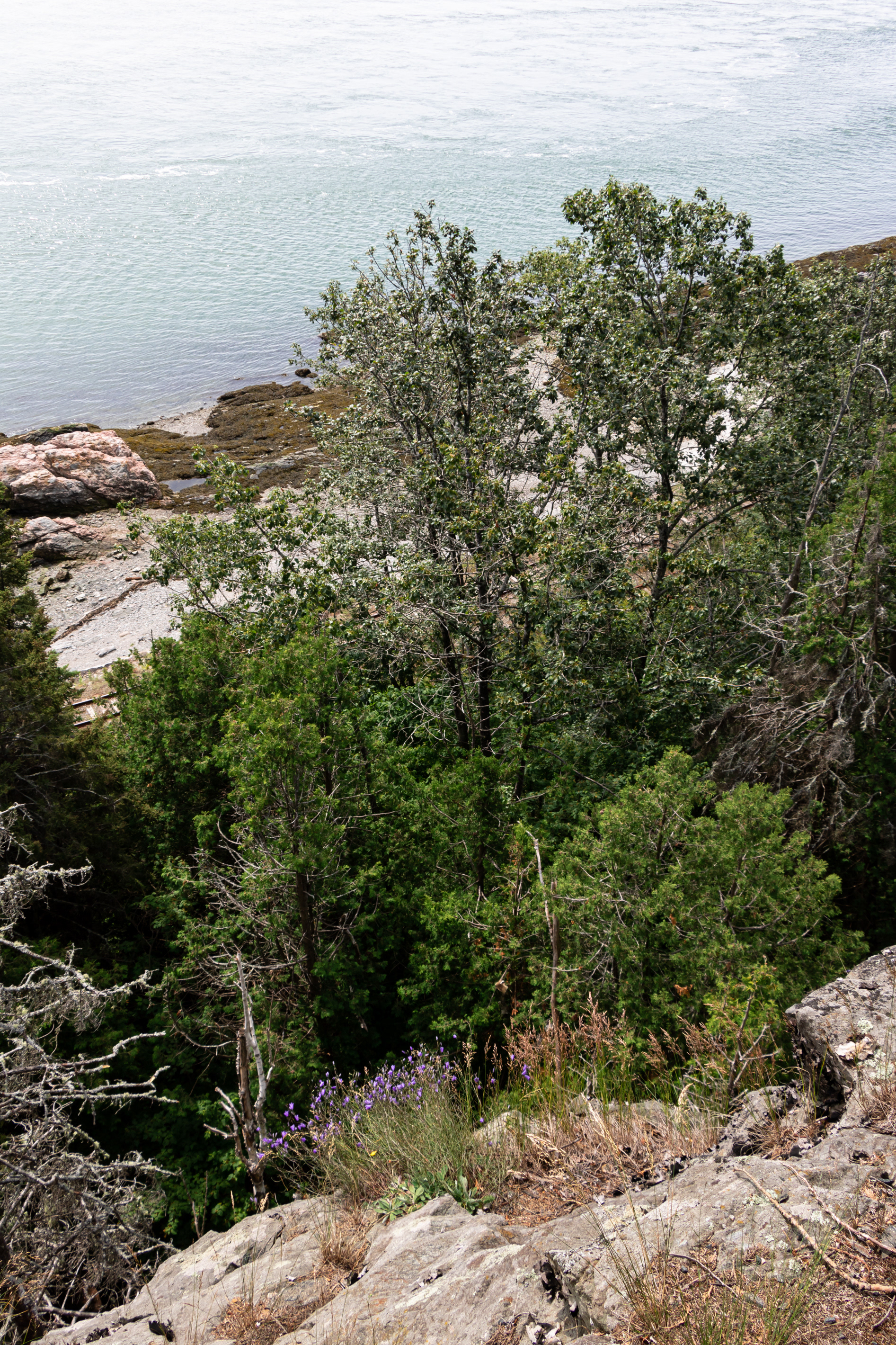 Charlevoix © 2021