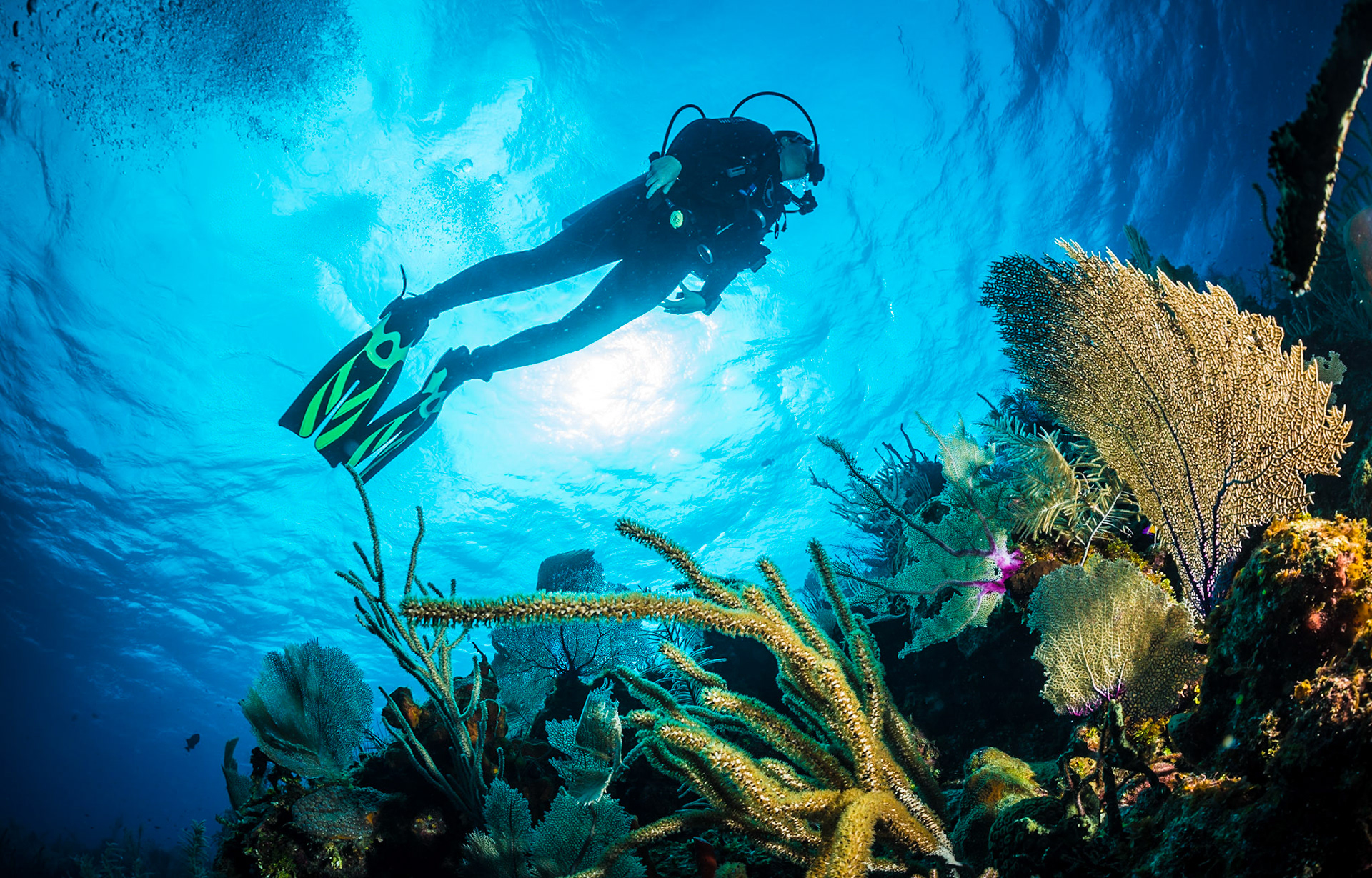 Xmas Day dive 2015 at "Donna's delight" dive site on Little Cayman Island enjoying the abundance of soft corals and clear water.