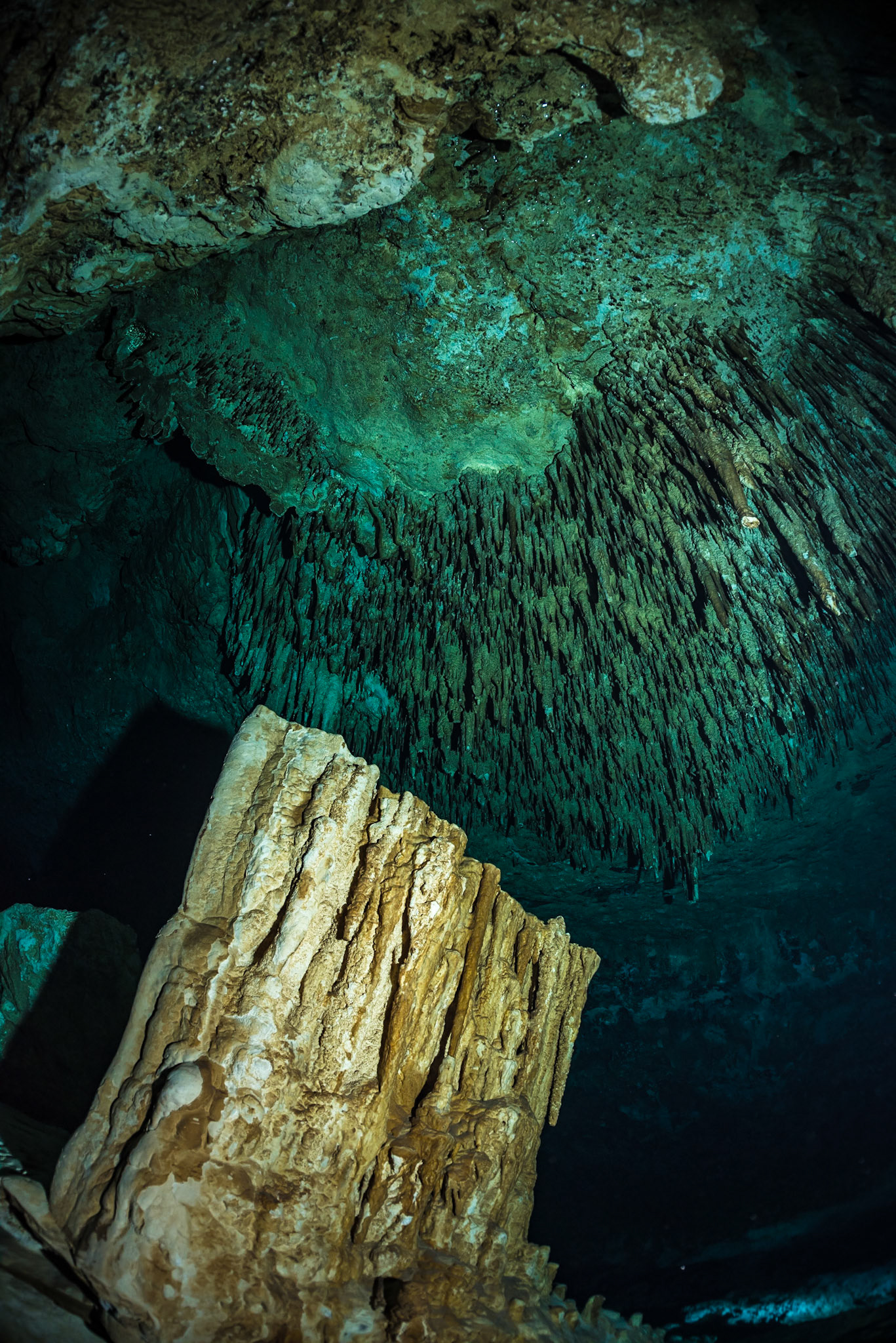 Diving in cenote Taj Mahal