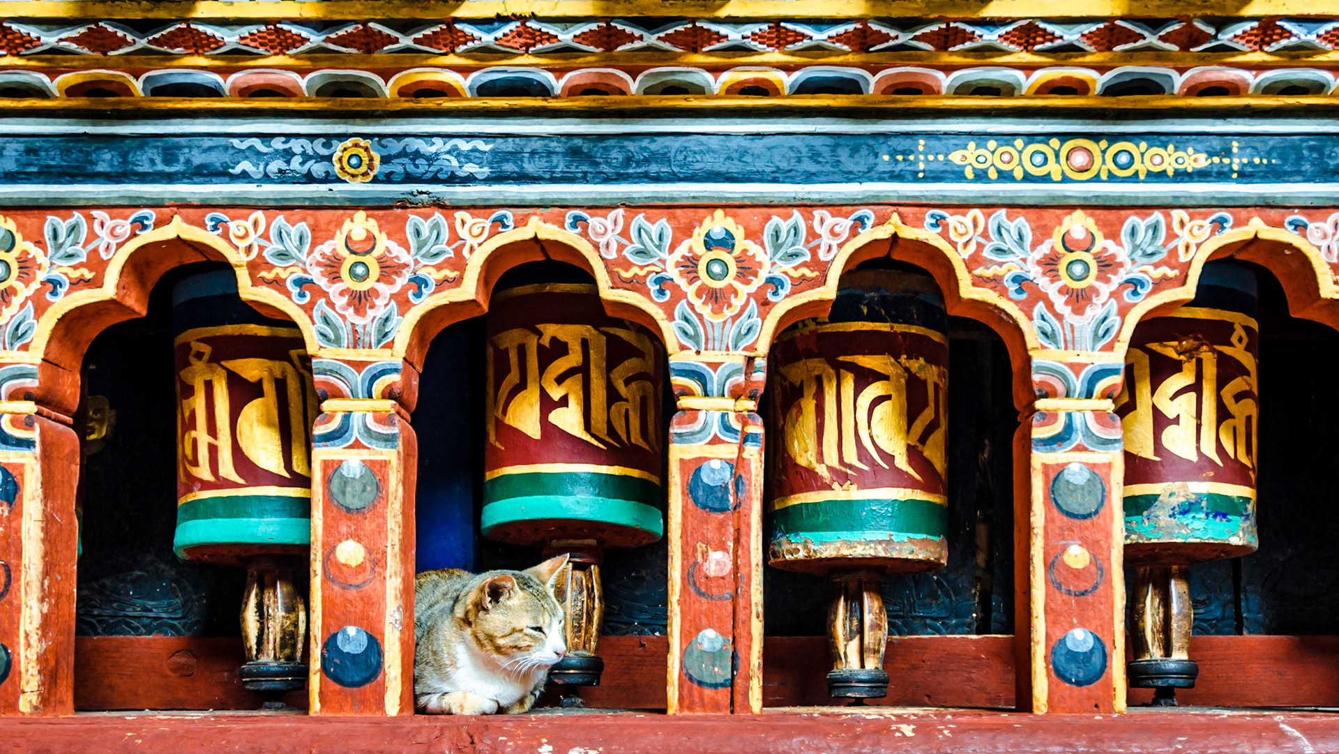 Rinpung Dzong in Paro is a large dzong - Buddhist monastery and fortress - of the Drukpa Lineage of the Kagyu school in Paro District, Bhutan. It houses the district Monastic Body and government administrative offices of Paro Dzongkhag.