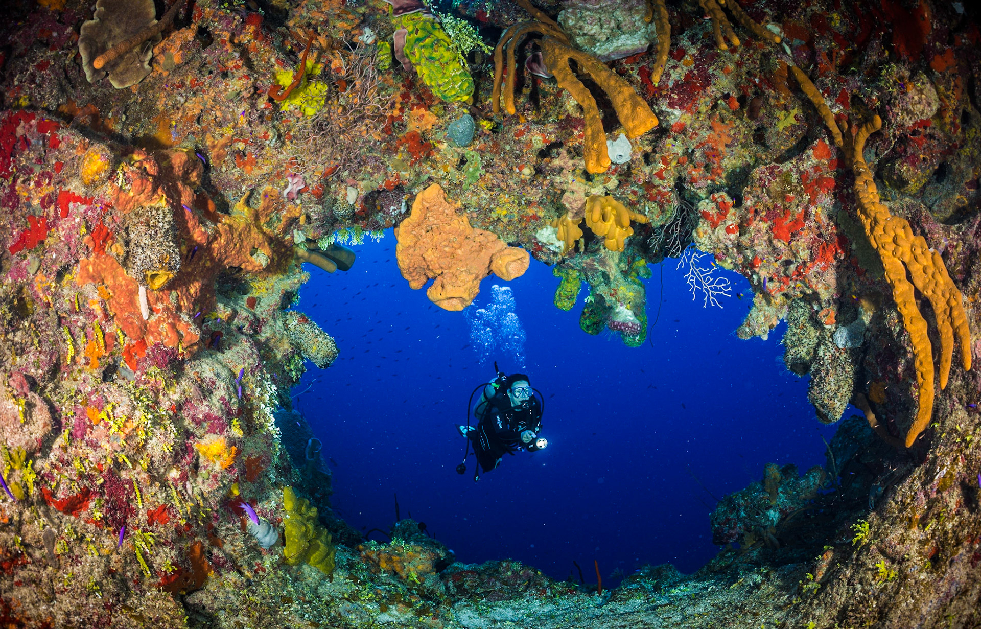 Diver swims through a portal in the reef in Bloody Bay Wall at Little Cayman Island