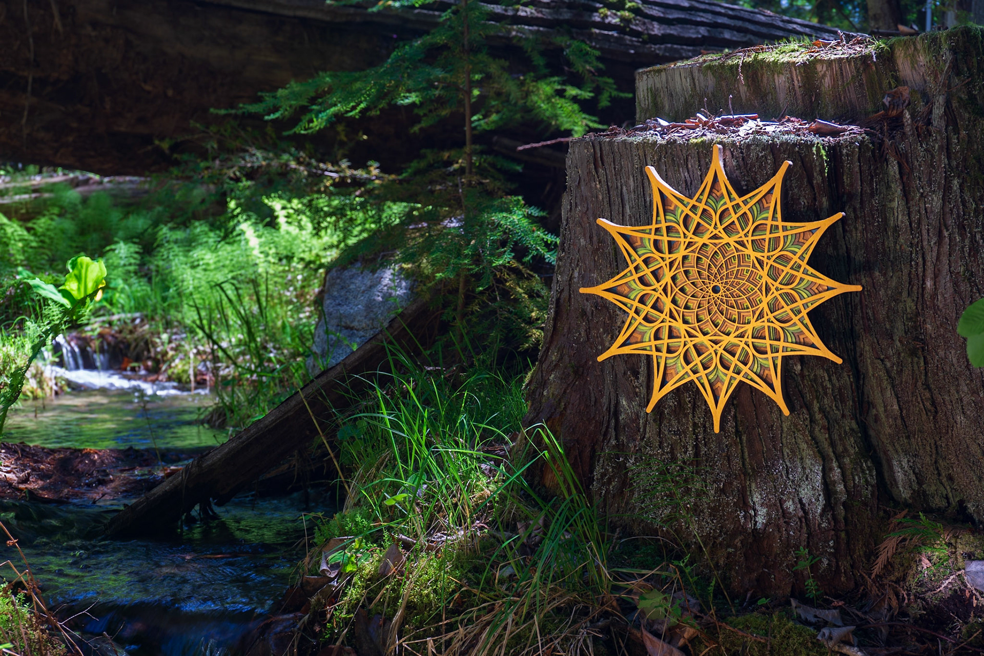 Lost Droplet - Slow Forest Wander