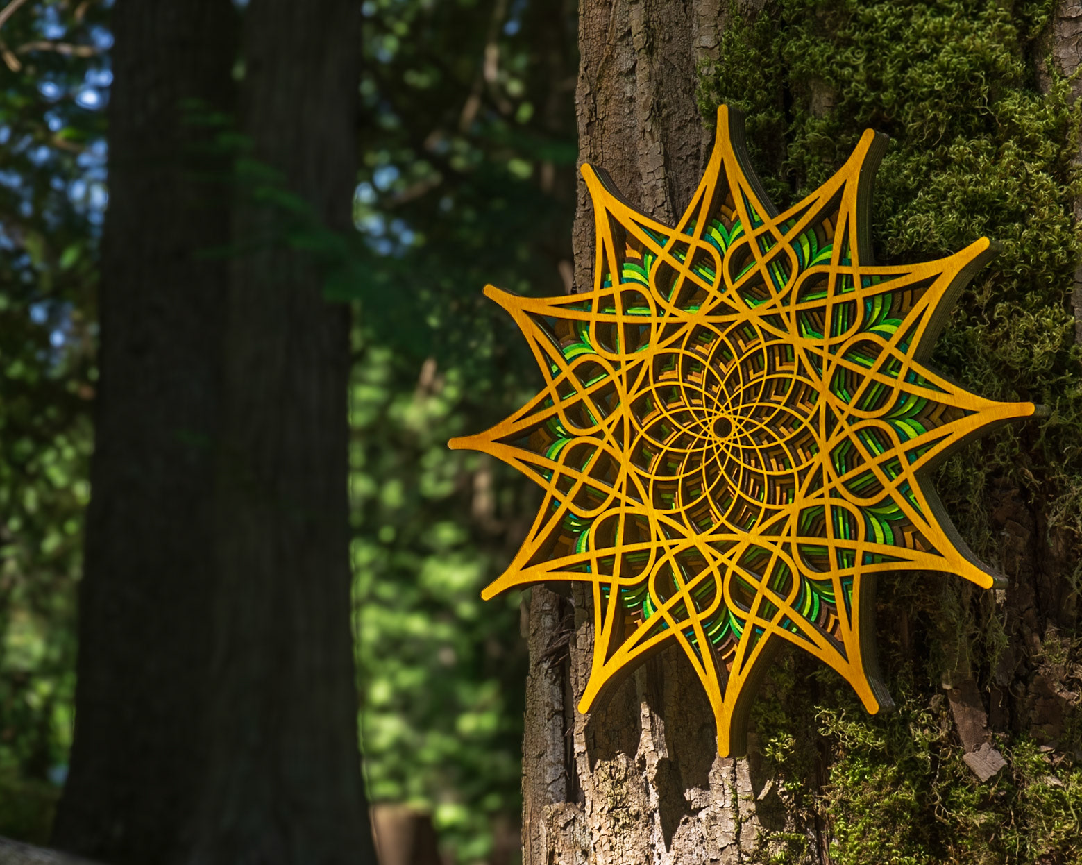 Lost Droplet - Slow Forest Wander