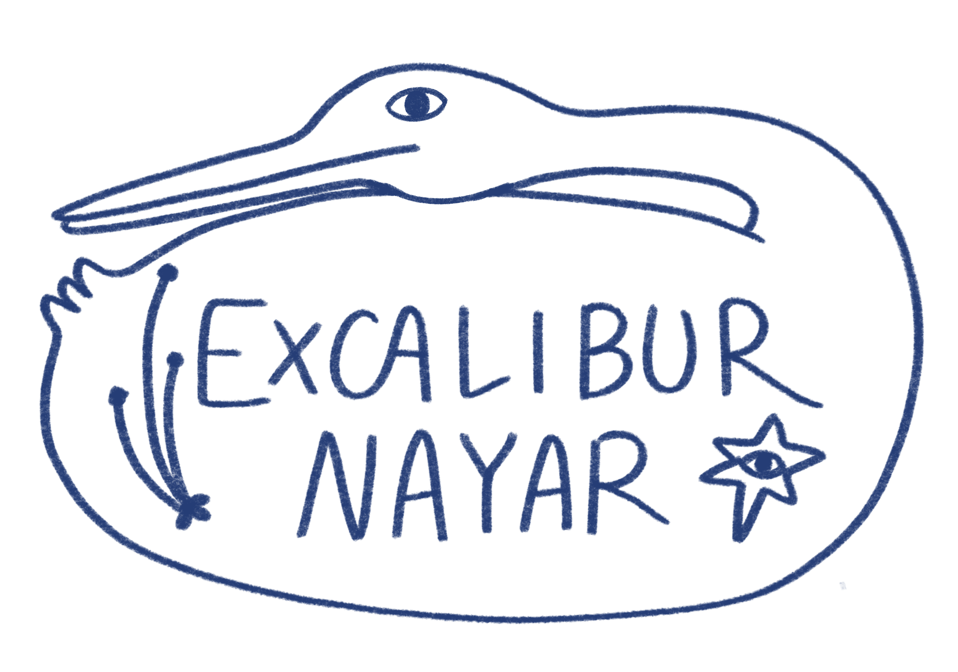 A NAYAR