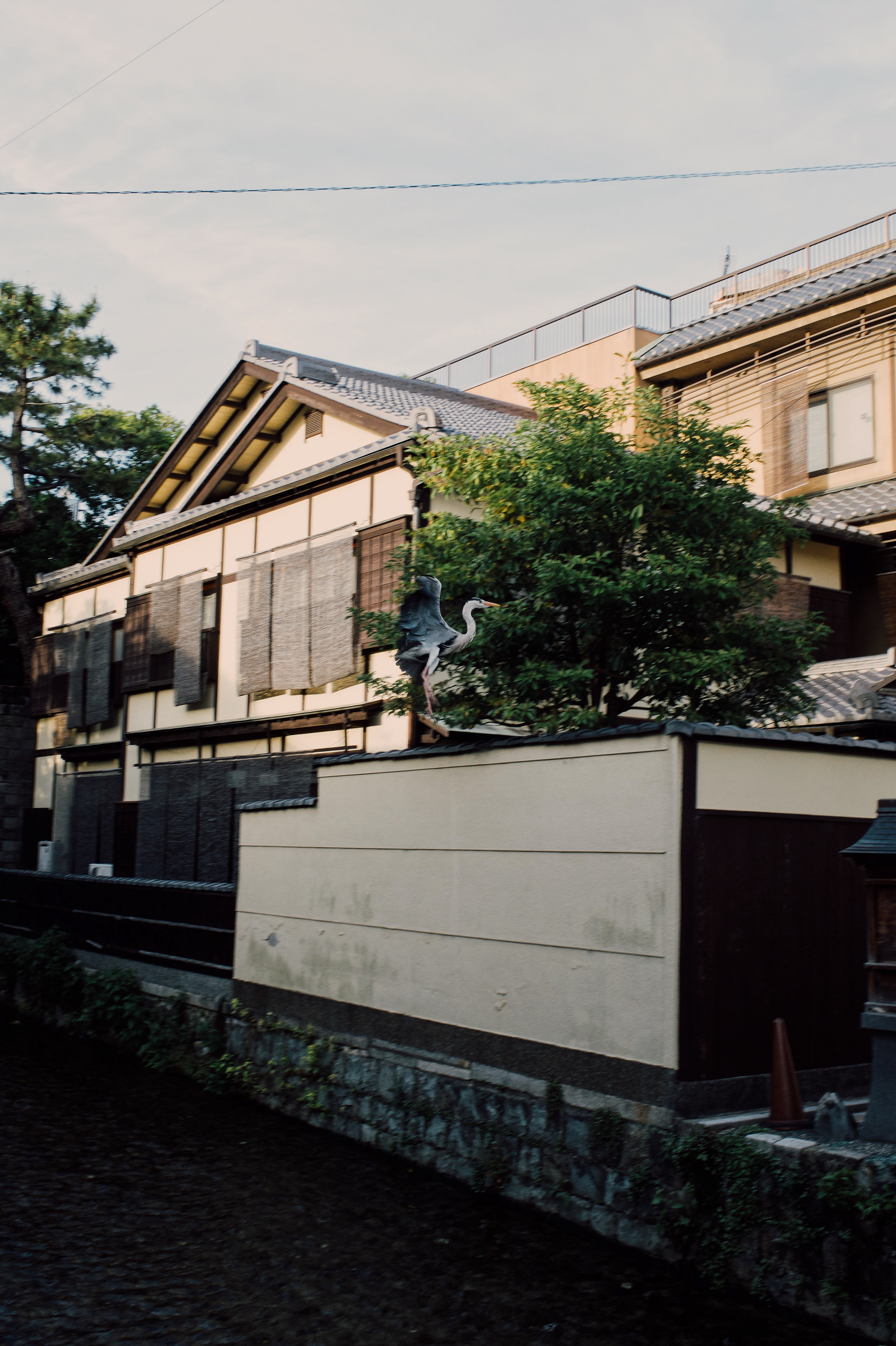 Kyoto 2022