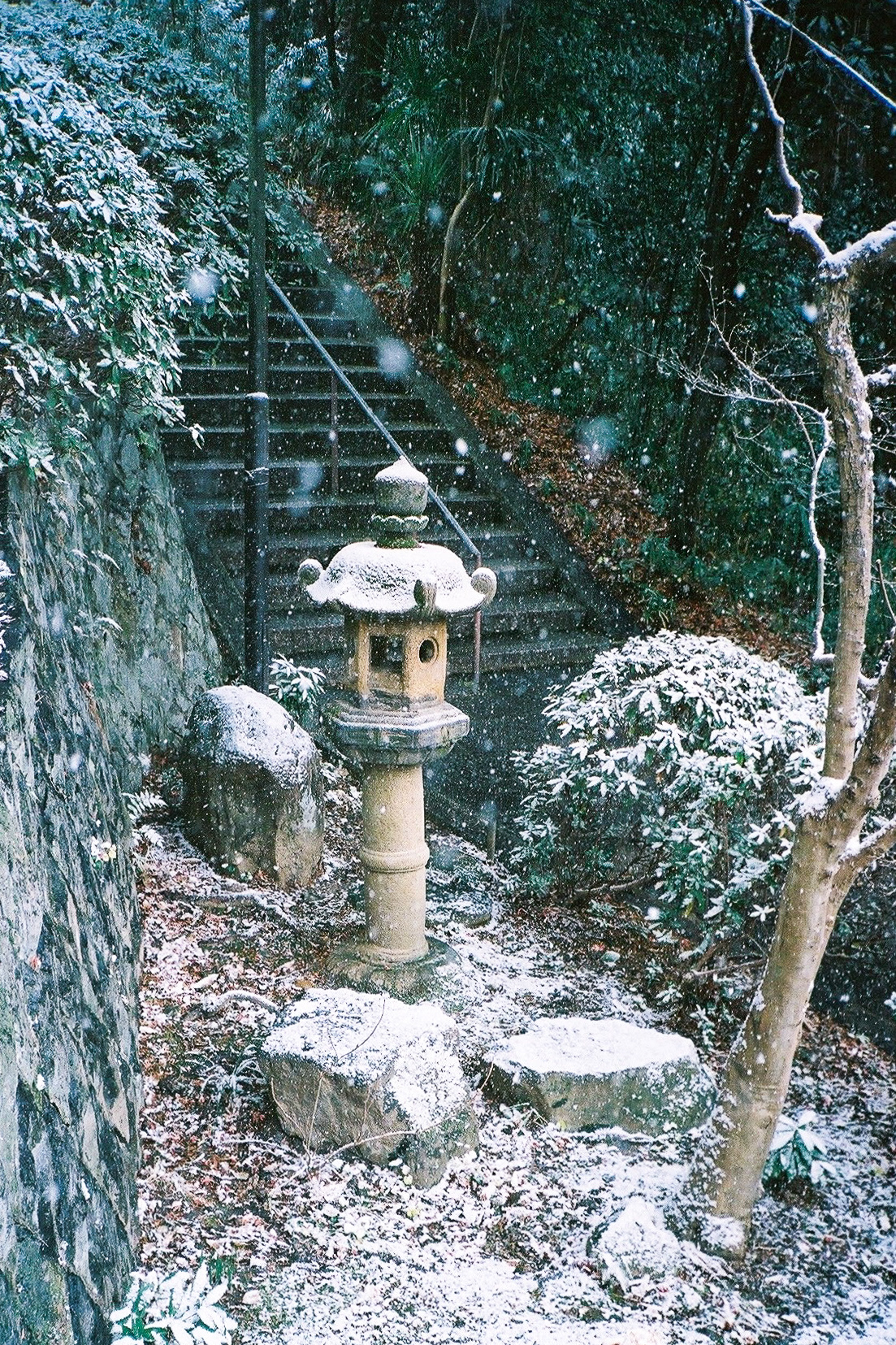 Kyoto 2025
