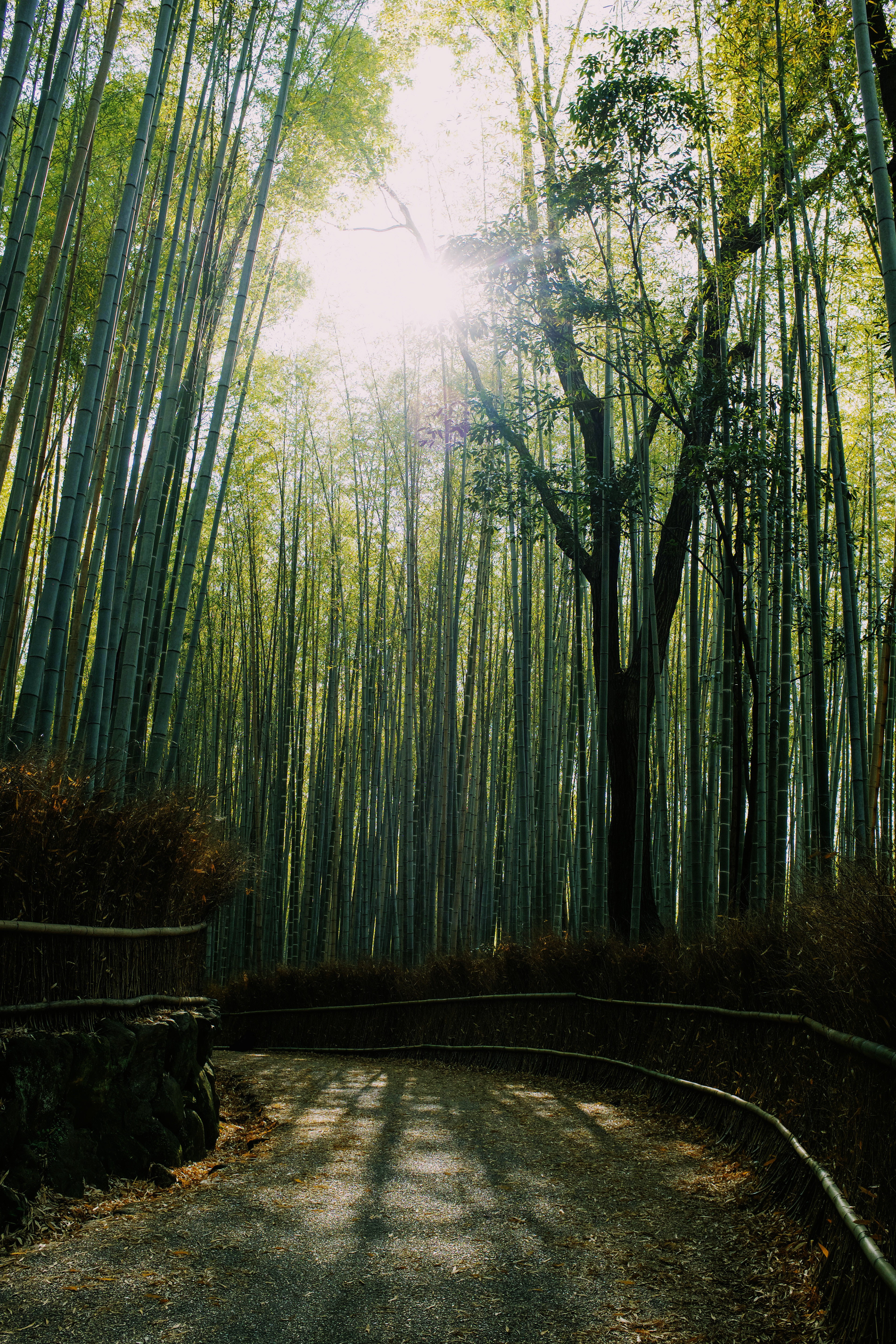 Kyoto 2022