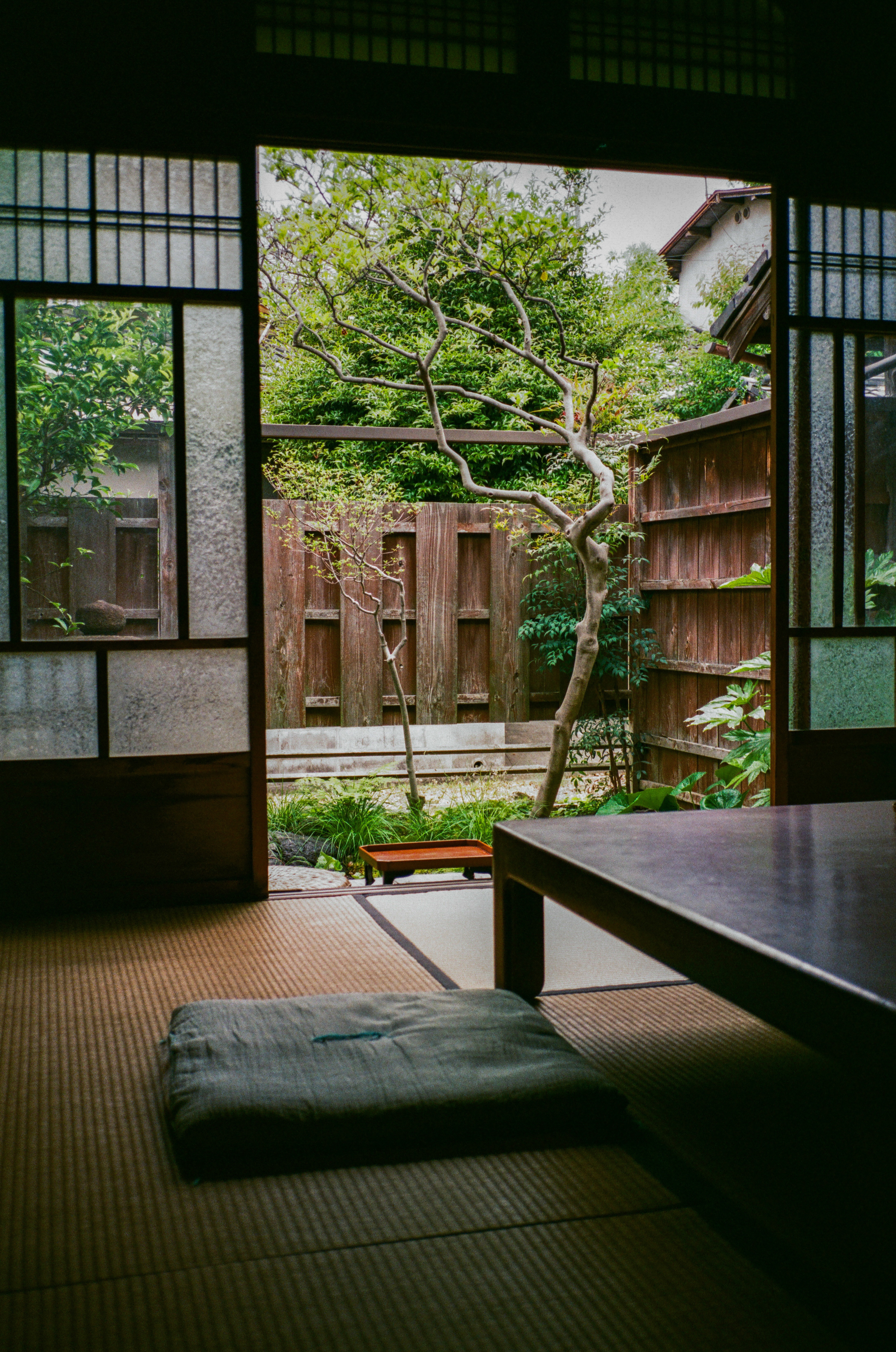 Kyoto 2024 (35mm)